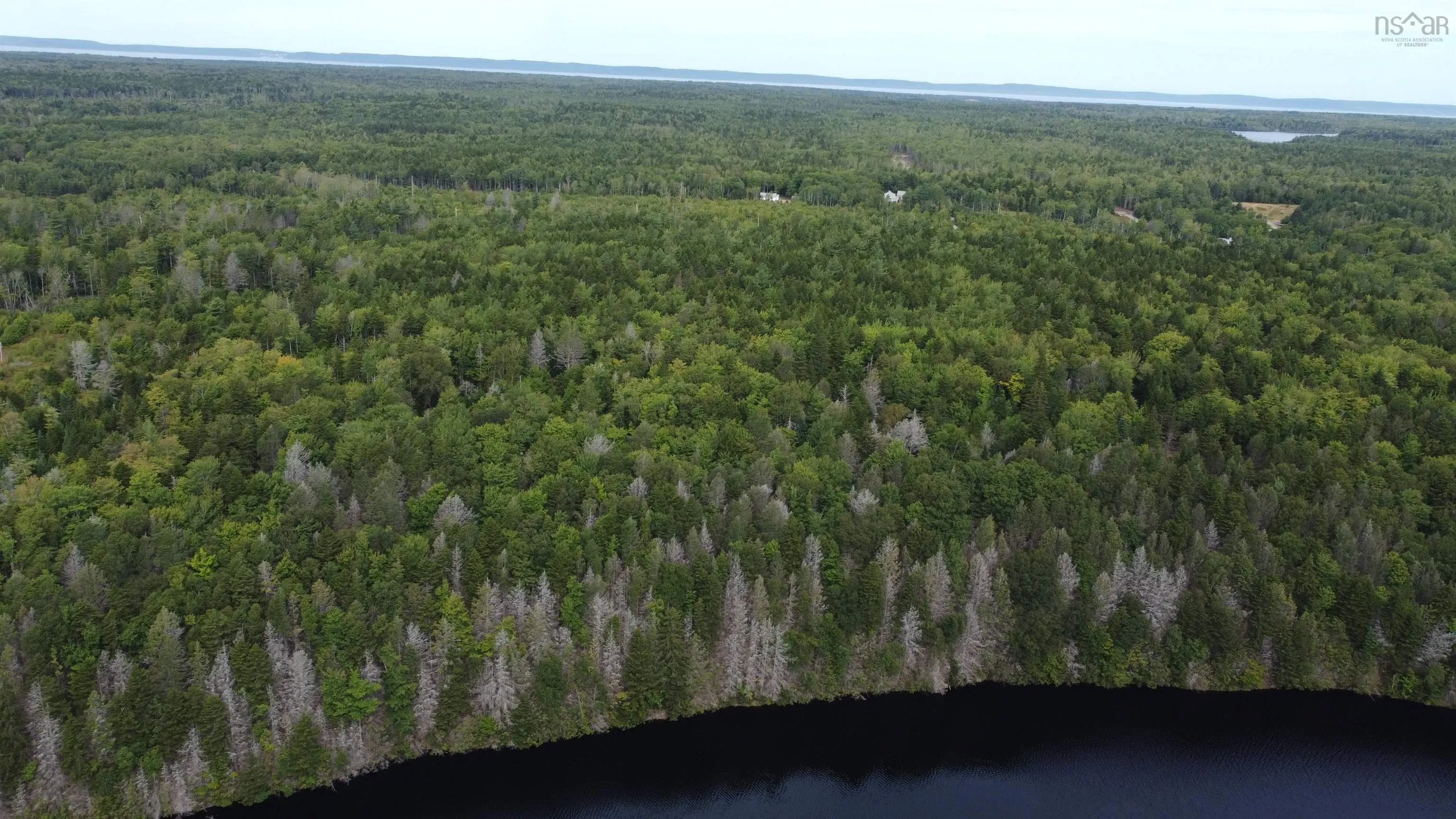 Sissiboo Road, Weymouth Mills, NS B0W 3T0, ,Land,For Sale,Sissiboo,202521352