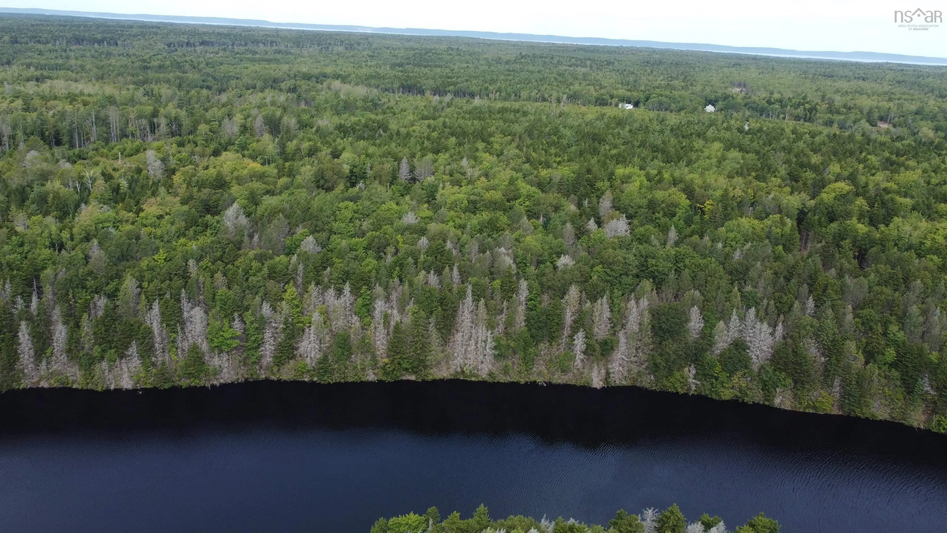 Sissiboo Road, Weymouth Mills, NS B0W 3T0, ,Land,For Sale,Sissiboo,202521352