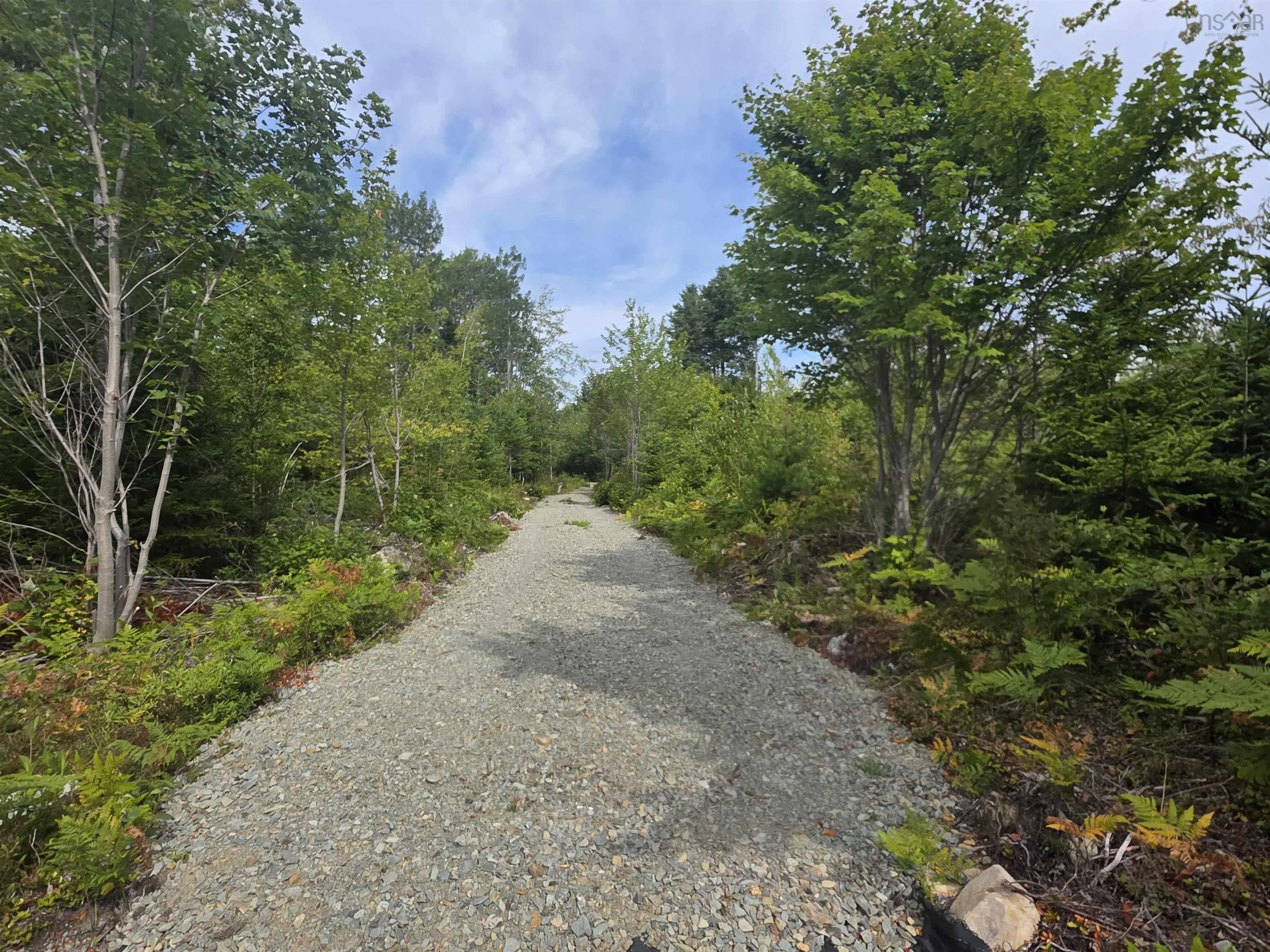 Sissiboo Road, Weymouth Mills, NS B0W 3T0, ,Land,For Sale,Sissiboo,202521352