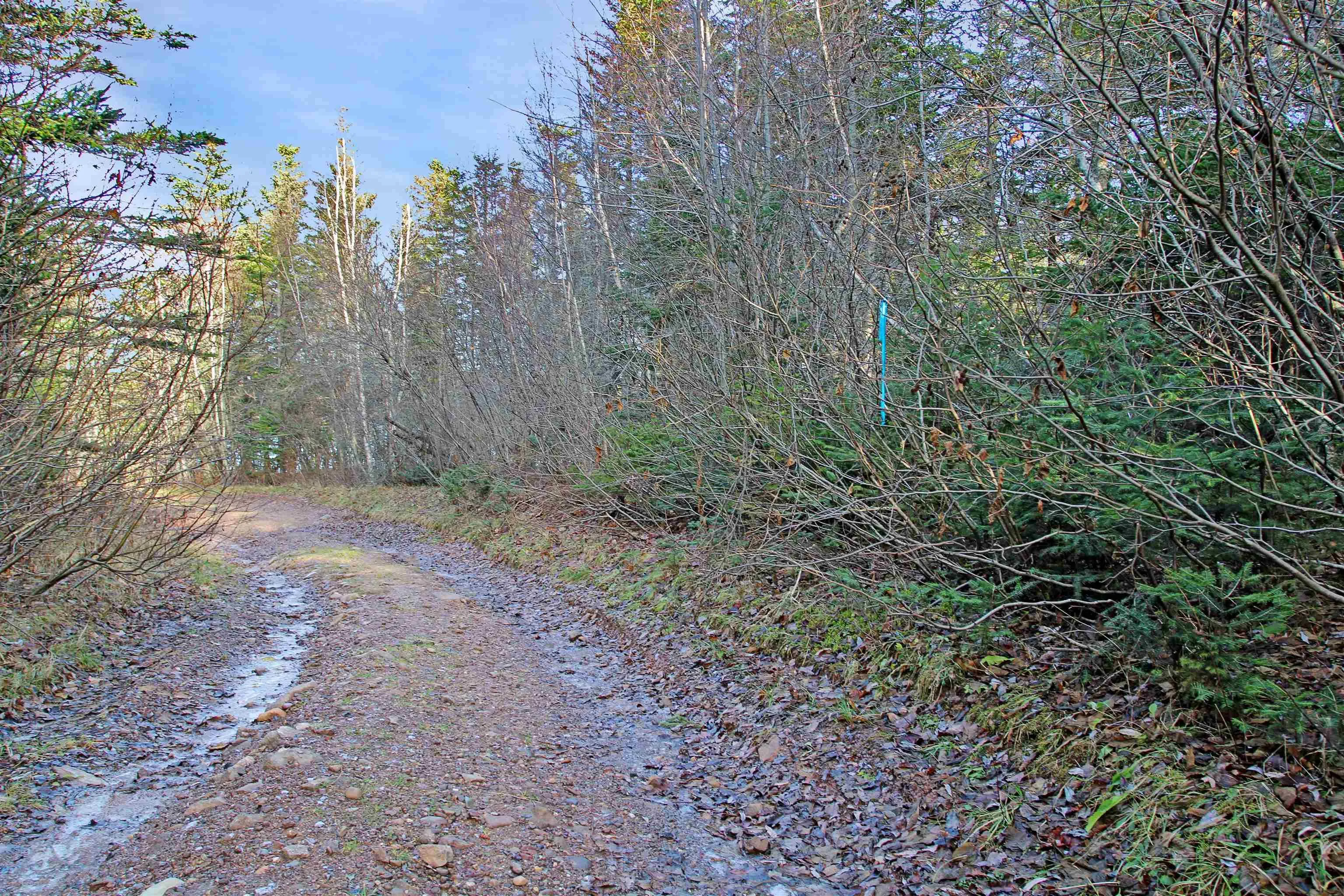 Arlington Road, Mount Hanley Ns B0s 1m0, ,Land,For Sale,Arlington,202500211