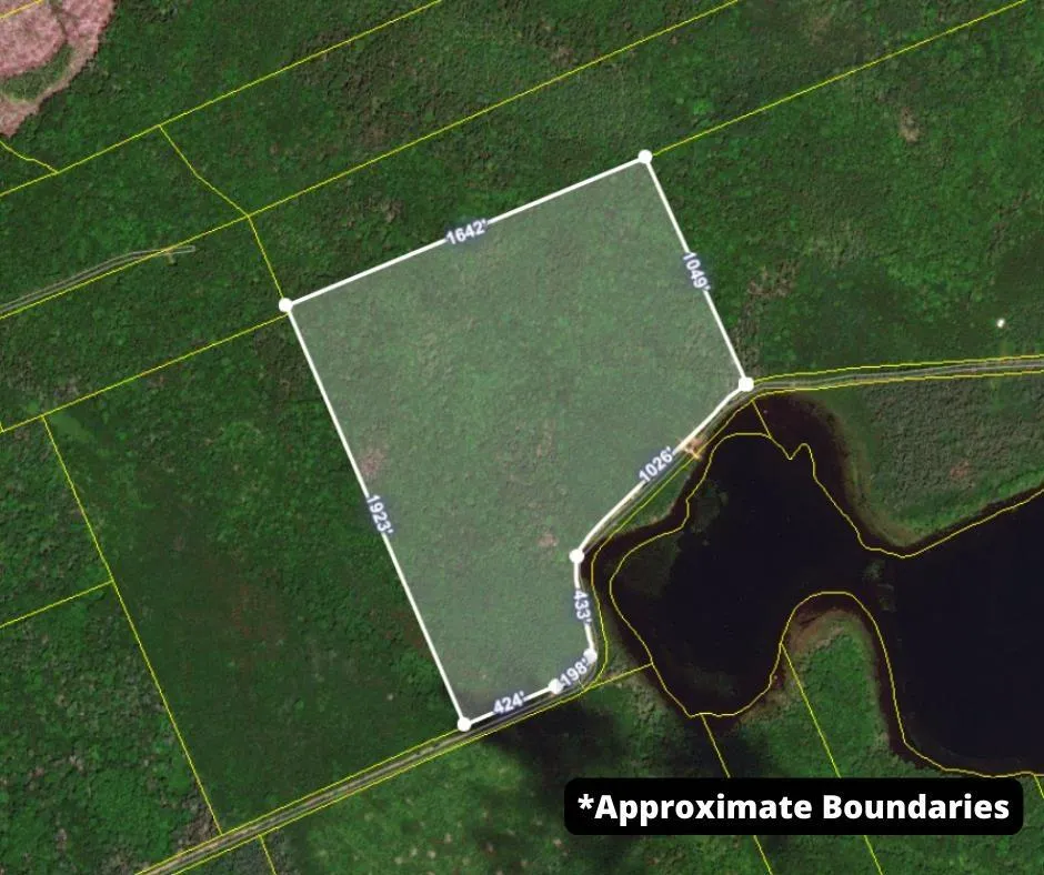 Arlington Road, Mount Hanley Ns B0s 1m0, ,Land,For Sale,Arlington,202500211