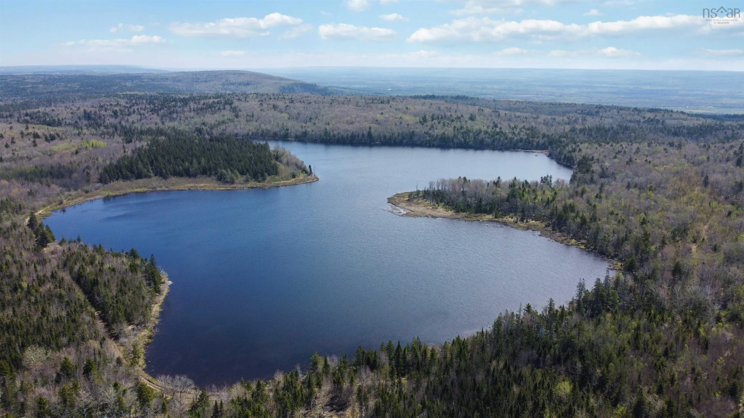 Arlington Road, Mount Hanley Ns B0s 1m0, ,Land,For Sale,Arlington,202500211
