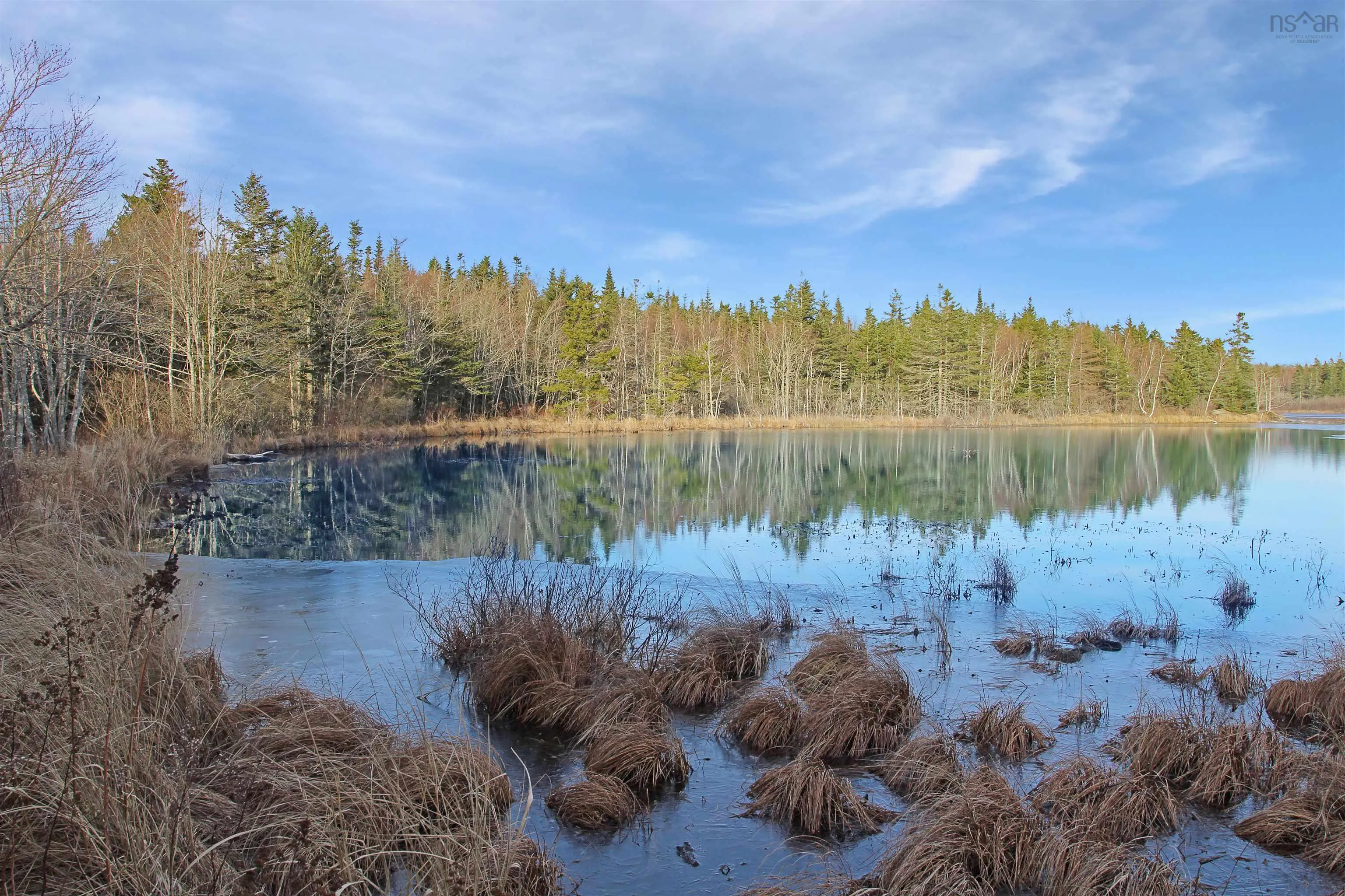Arlington Road, Mount Hanley Ns B0s 1m0, ,Land,For Sale,Arlington,202500211