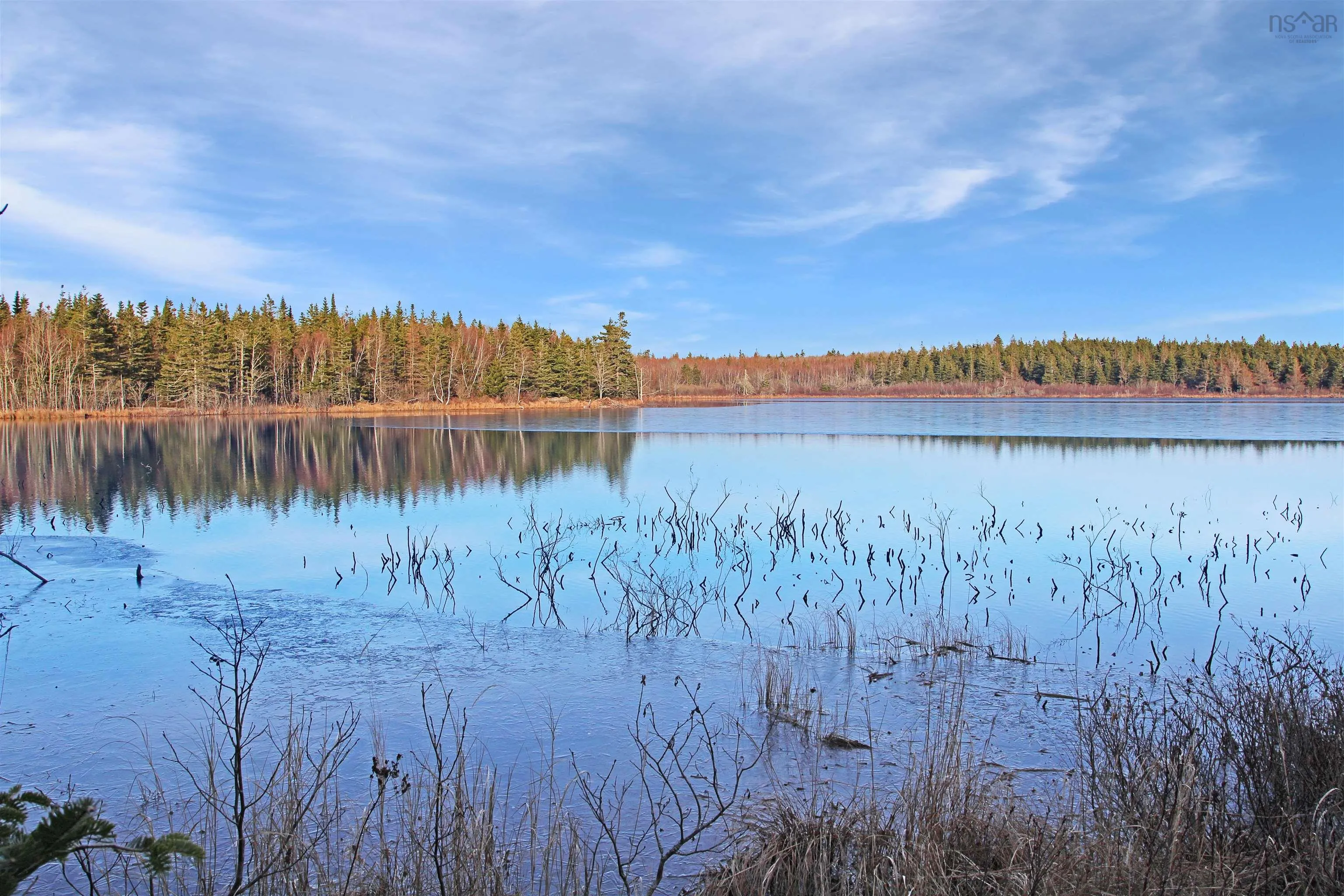 Arlington Road, Mount Hanley Ns B0s 1m0, ,Land,For Sale,Arlington,202500211