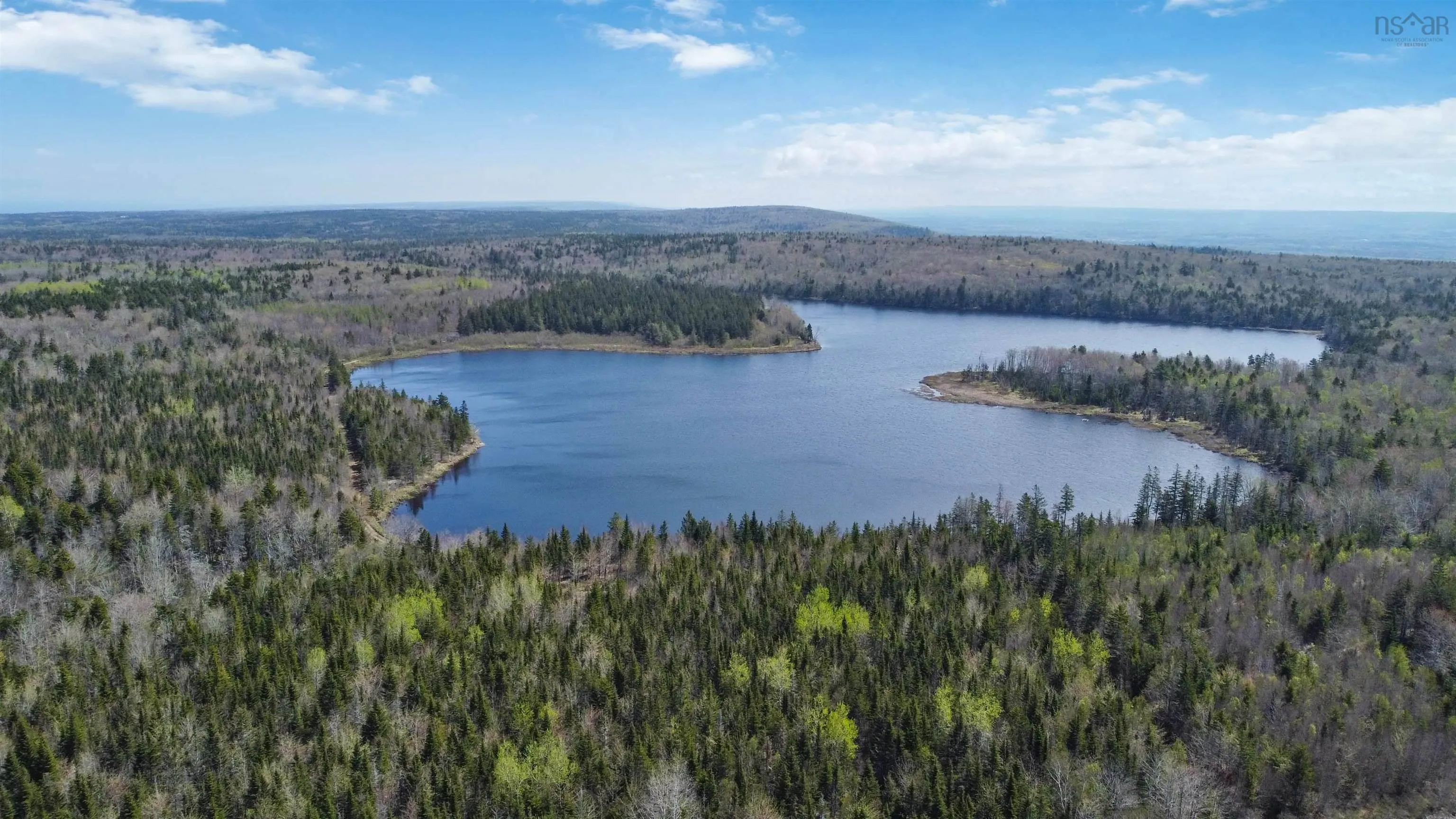 Arlington Road, Mount Hanley Ns B0s 1m0, ,Land,For Sale,Arlington,202500211