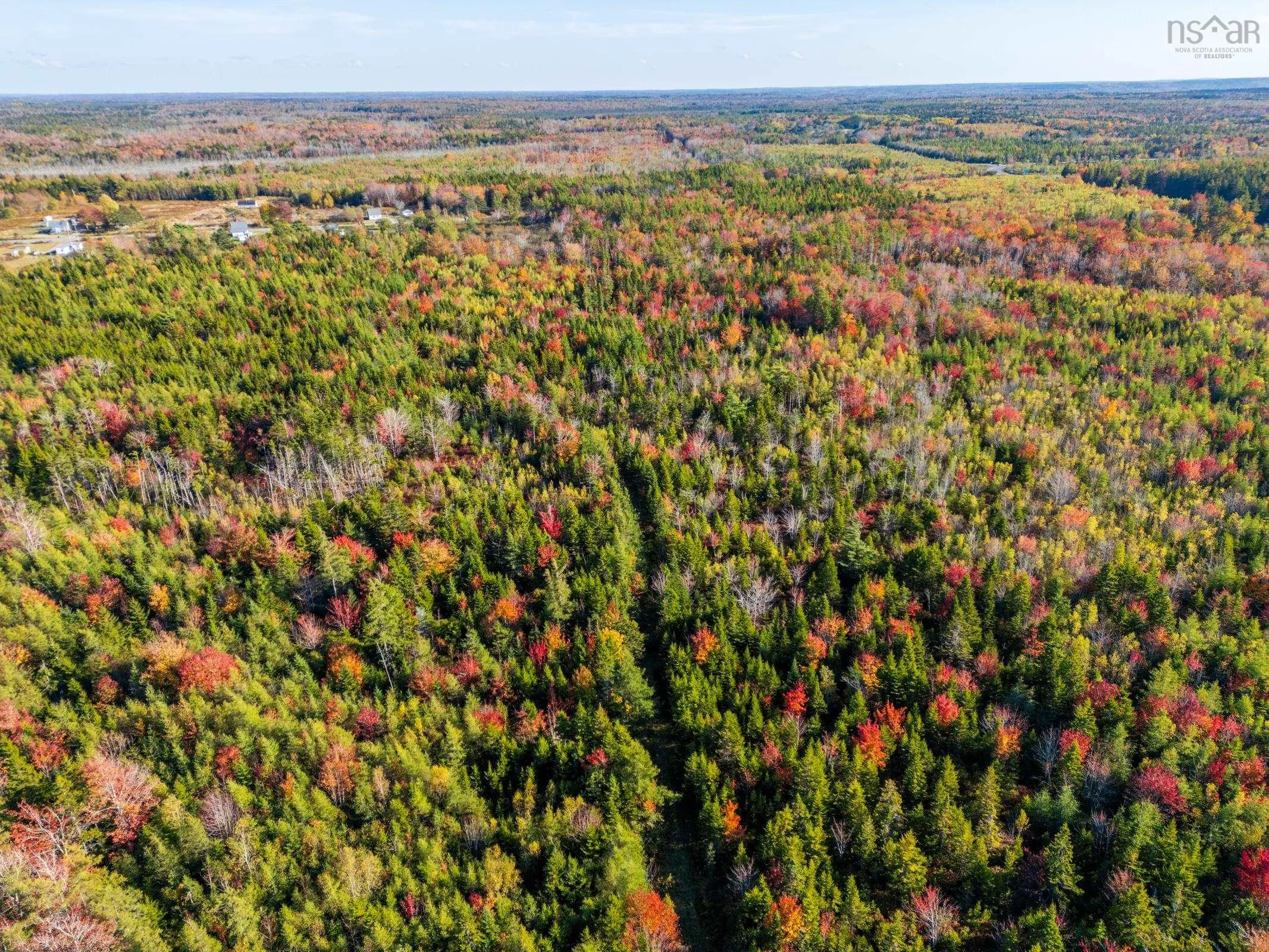 Fort Point Road, Ashmore, NS B0W 3T0, ,Land,For Sale,Fort Point Road,202525541
