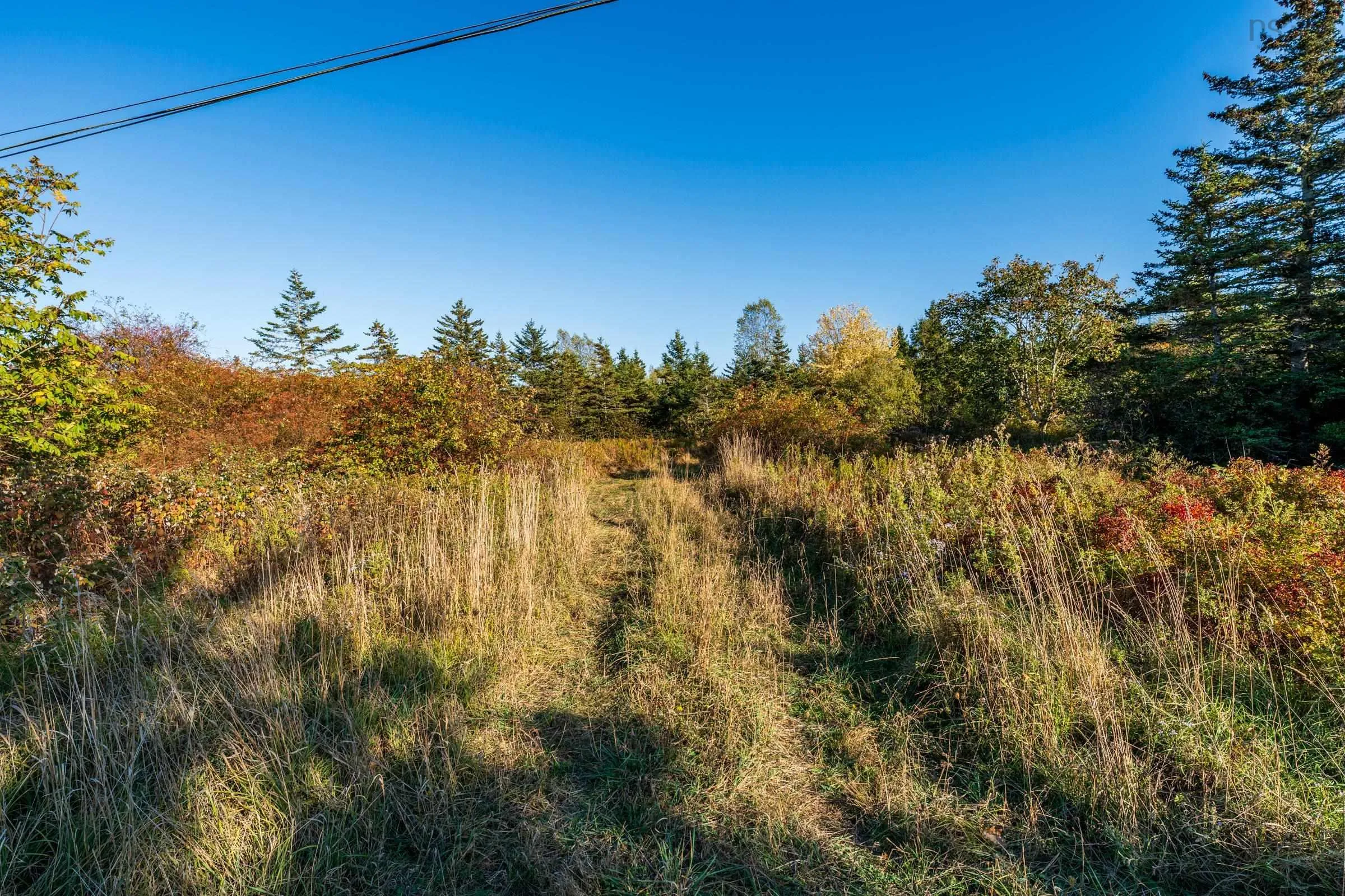 Fort Point Road, Ashmore, NS B0W 3T0, ,Land,For Sale,Fort Point Road,202525541