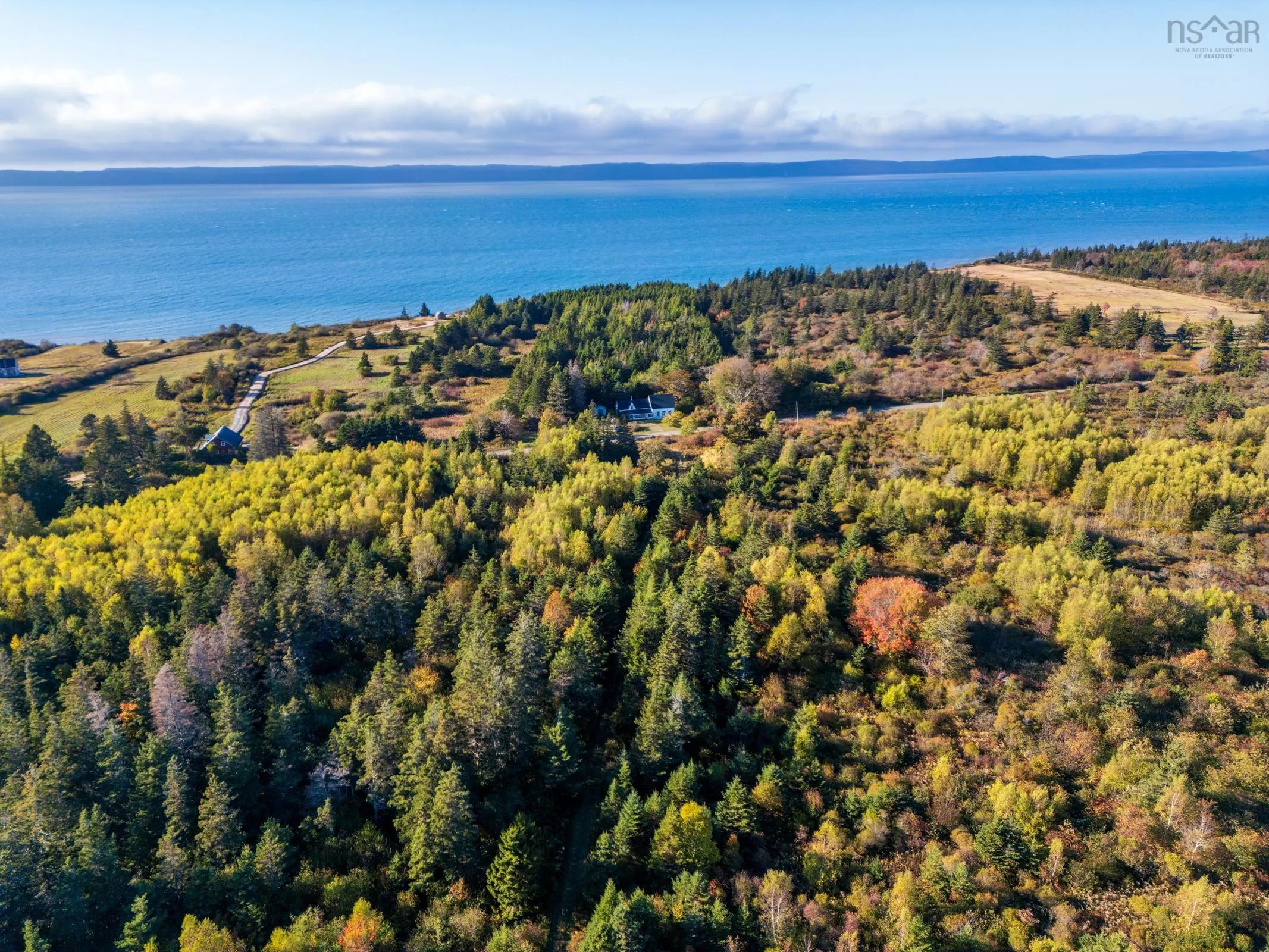 Fort Point Road, Ashmore, NS B0W 3T0, ,Land,For Sale,Fort Point Road,202525541
