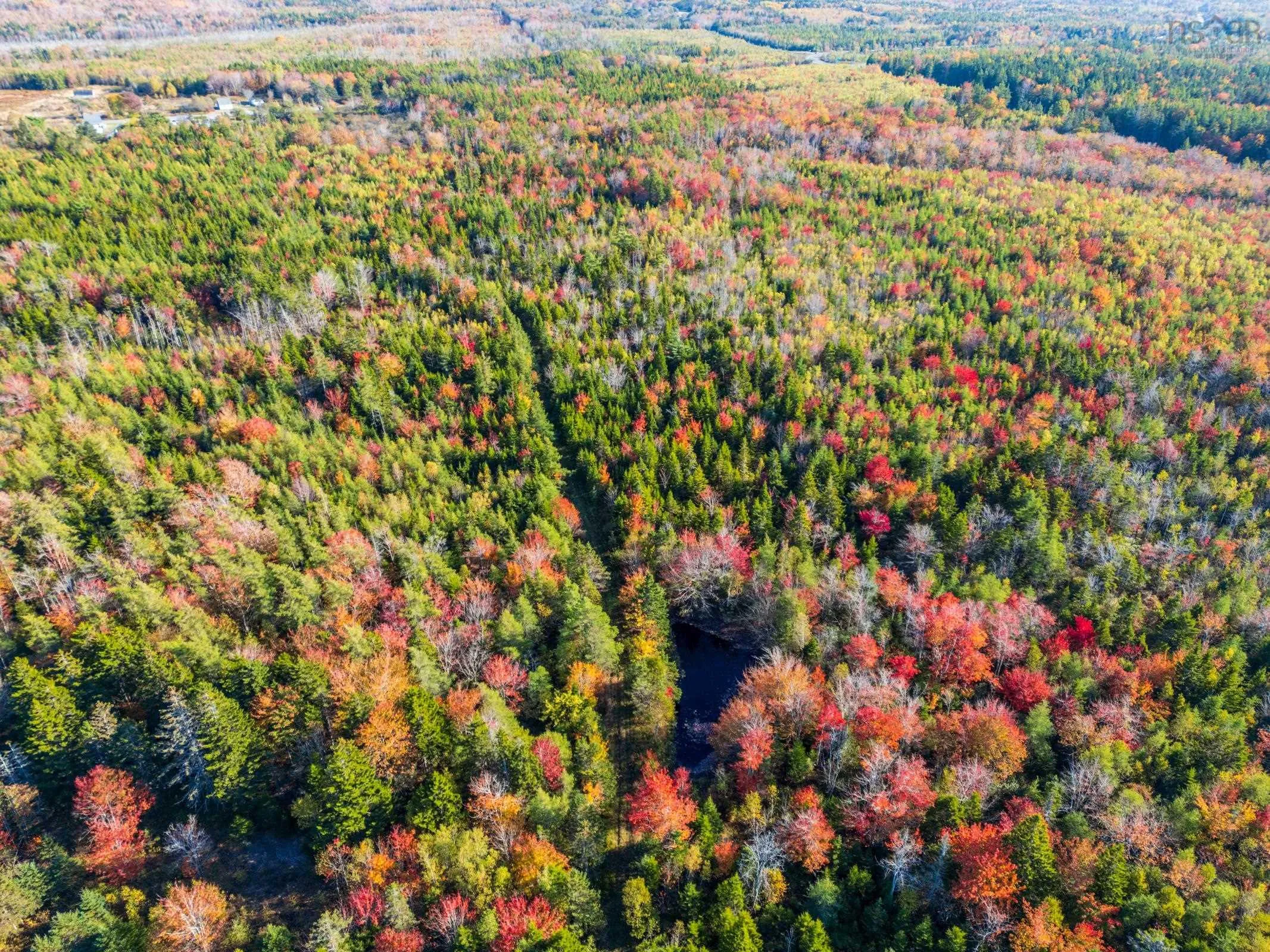 Fort Point Road, Ashmore, NS B0W 3T0, ,Land,For Sale,Fort Point Road,202525541