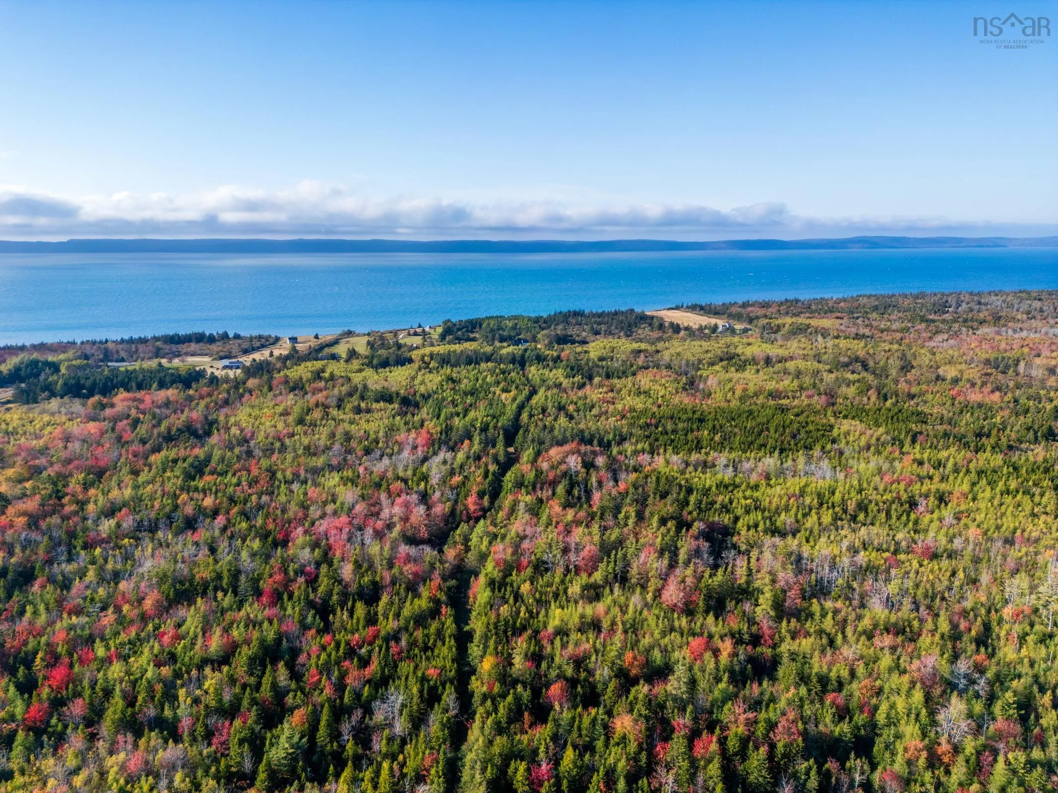Fort Point Road, Ashmore, NS B0W 3T0, ,Land,For Sale,Fort Point Road,202525541