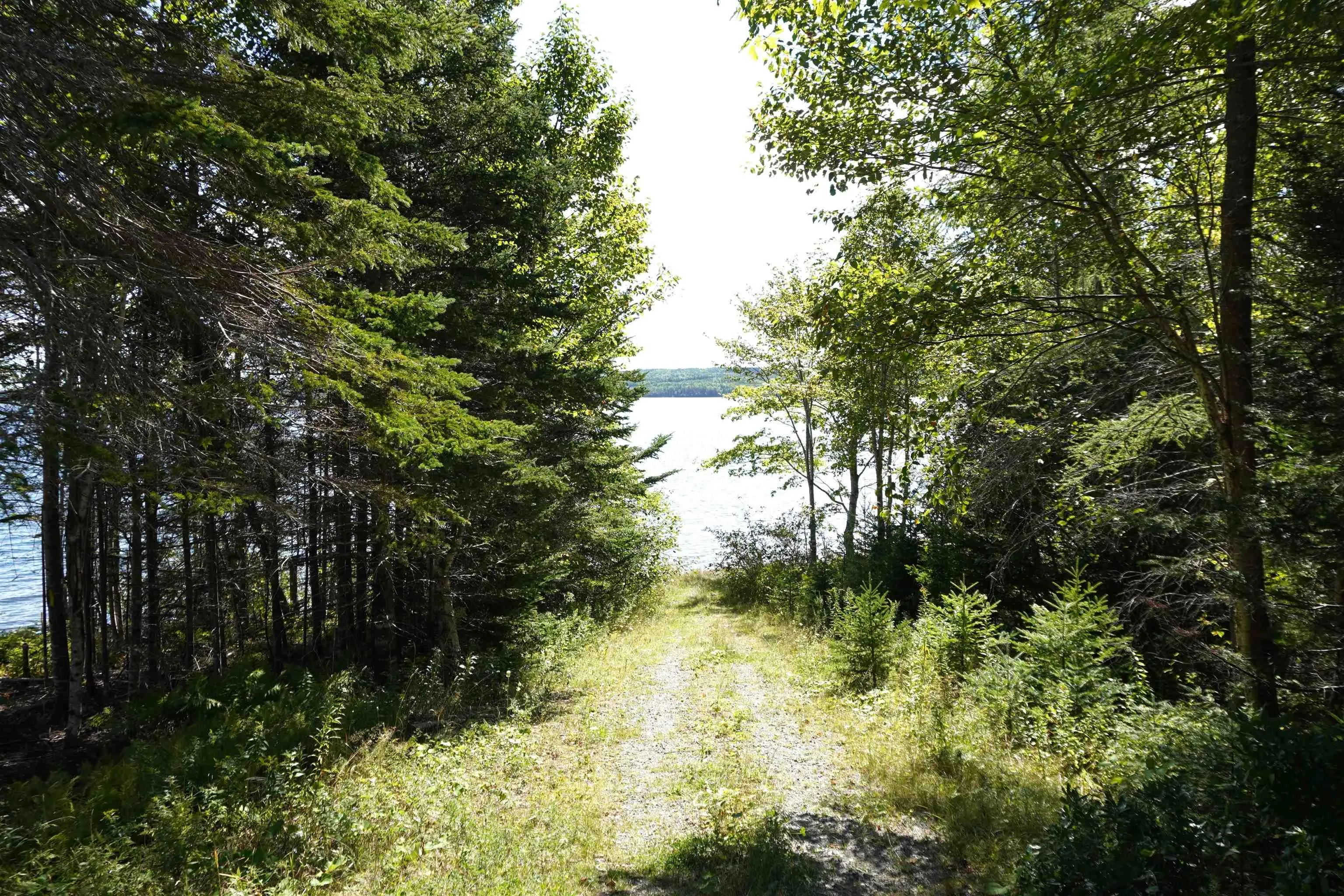 Lot 20 Golden Shore Lane, West Bay Marshes, NS B0E 3K0, ,Land,For Sale,Golden Shore,202523551