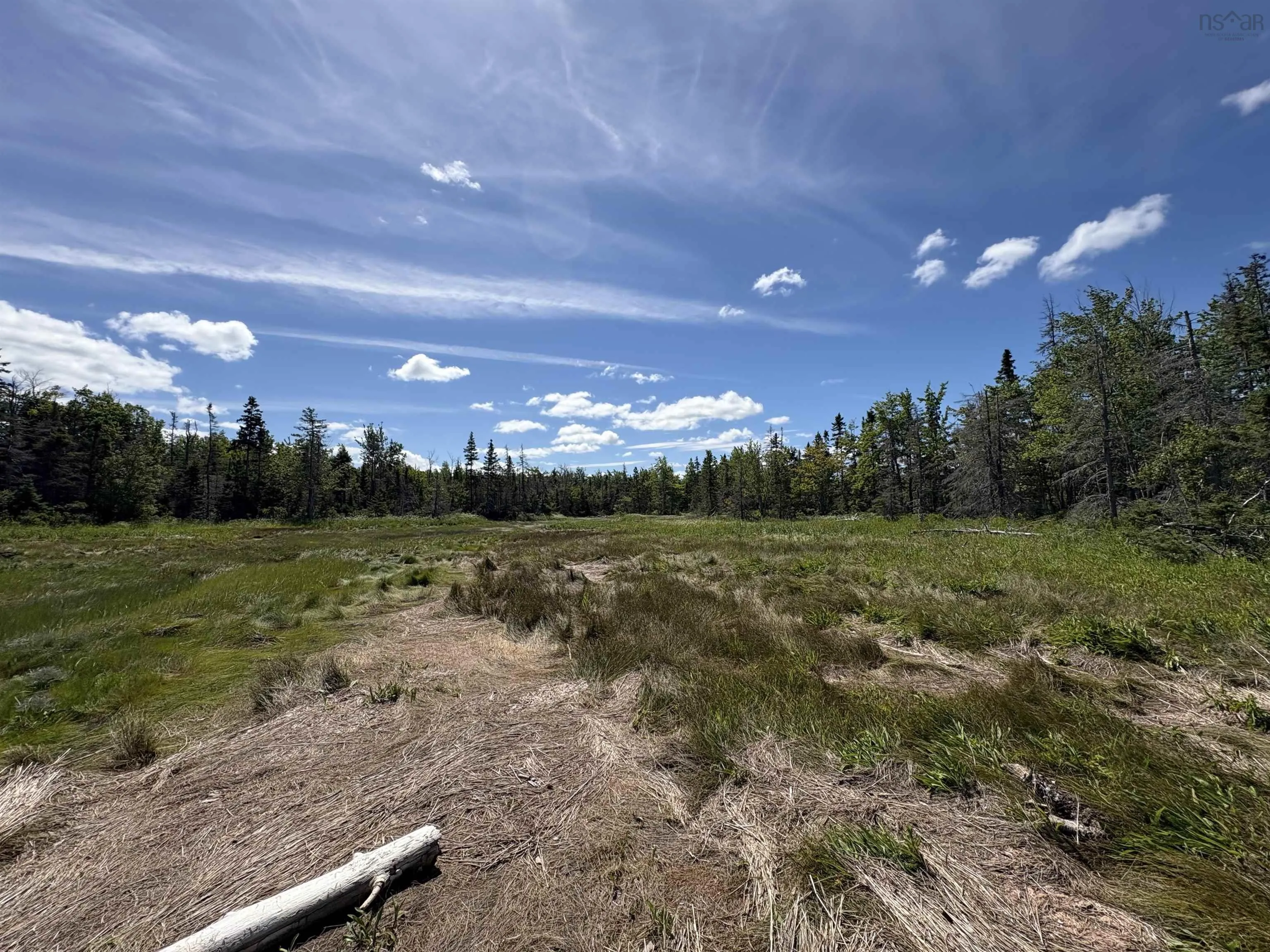 Thompson Road Lot 4, Pugwash River, NS B0M 1P0, ,Land,For Sale,Thompson,202521426