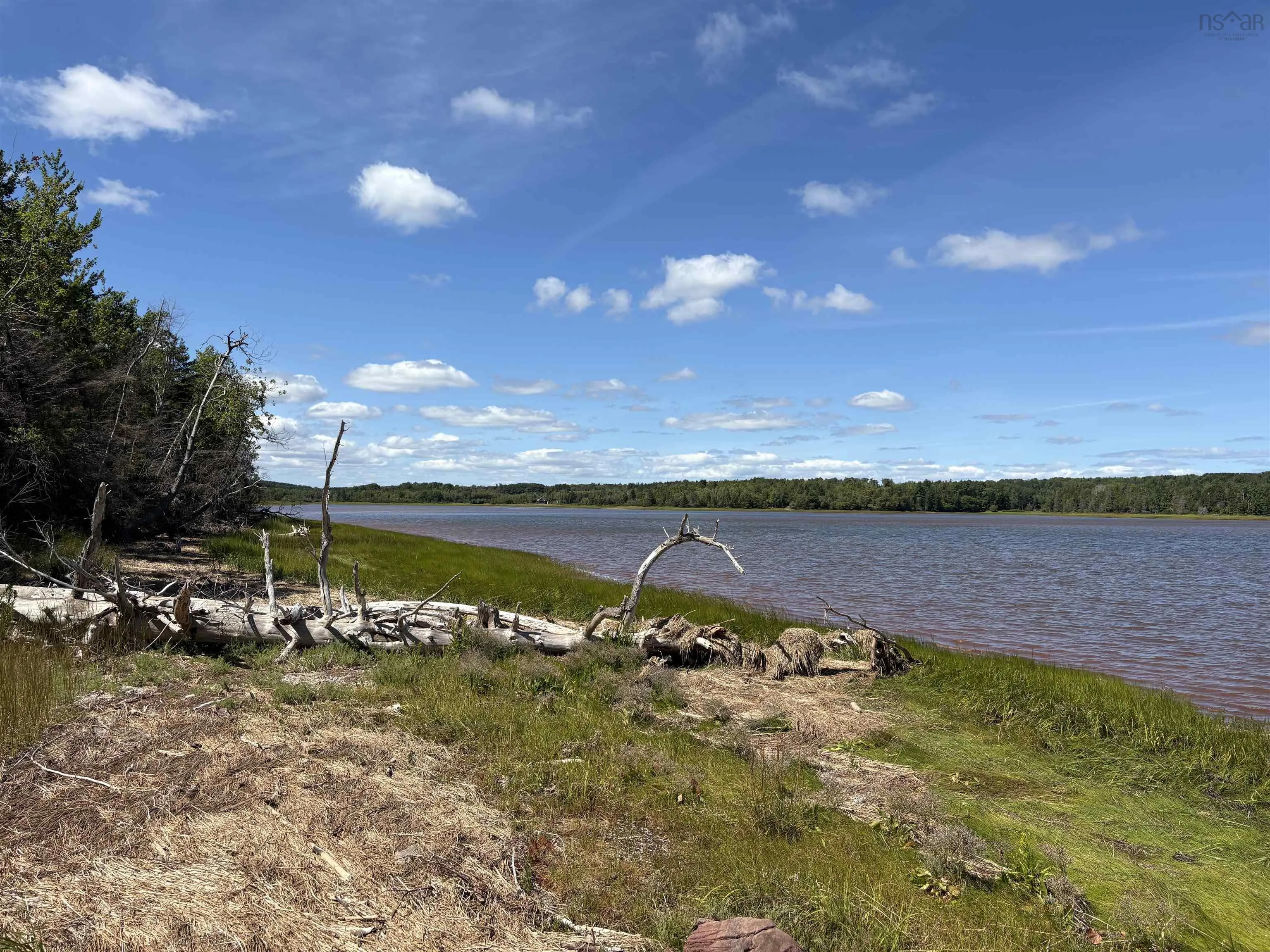 Thompson Road Lot 4, Pugwash River, NS B0M 1P0, ,Land,For Sale,Thompson,202521426