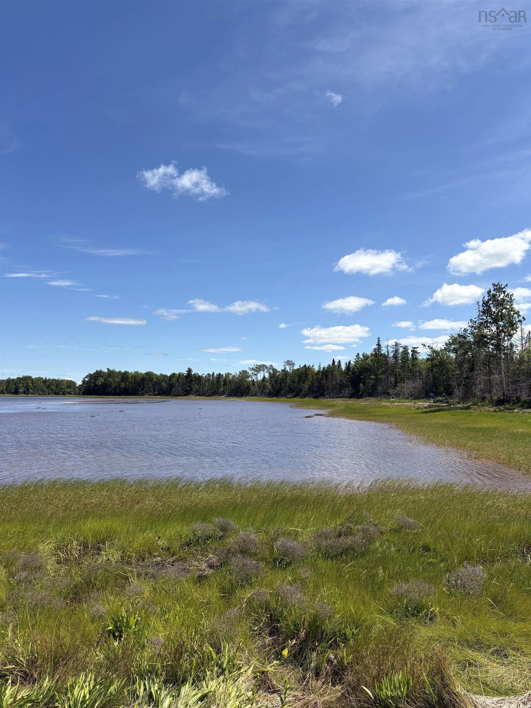 Thompson Road Lot 4, Pugwash River, NS B0M 1P0, ,Land,For Sale,Thompson,202521426