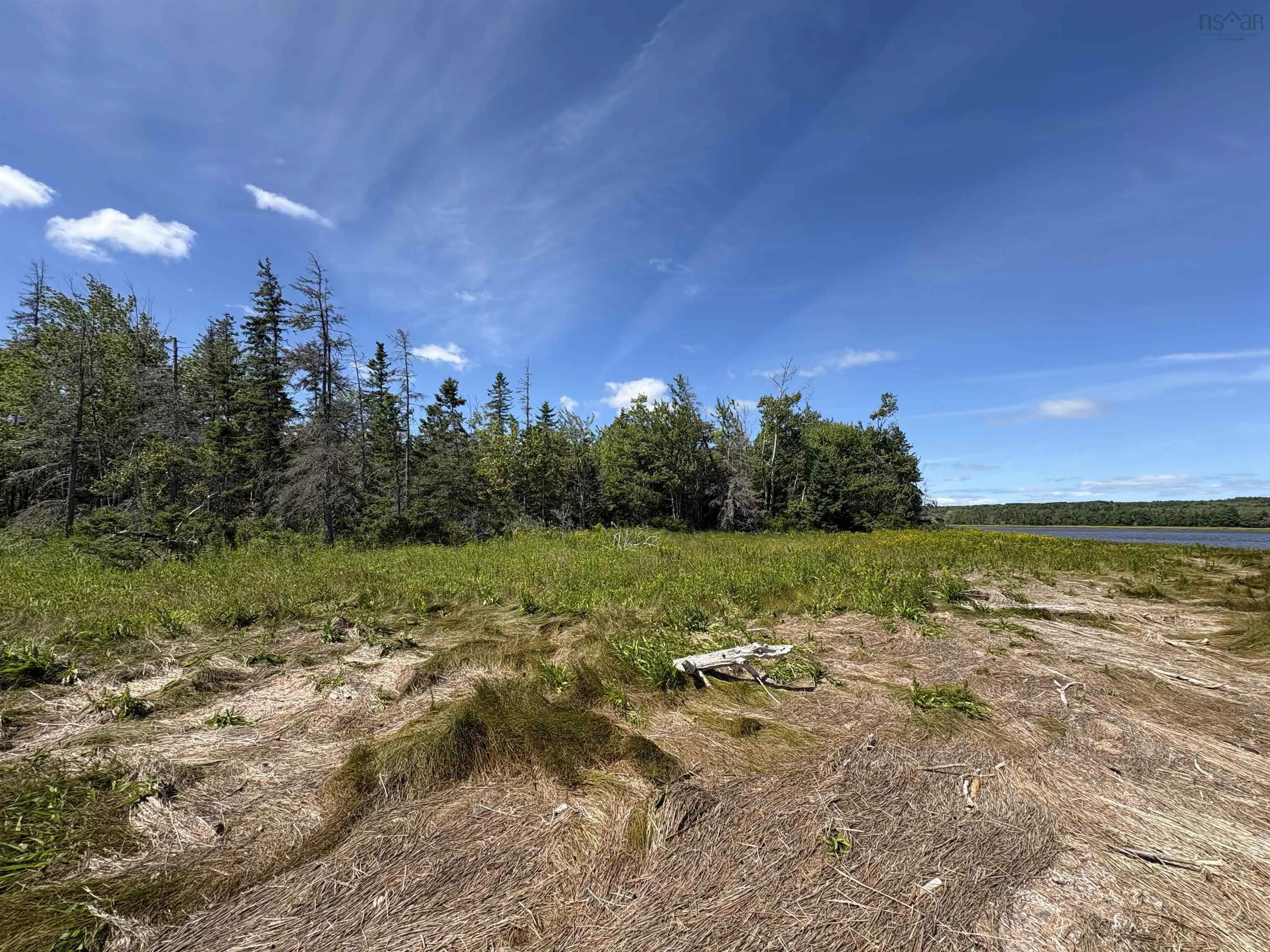 Thompson Road Lot 4, Pugwash River, NS B0M 1P0, ,Land,For Sale,Thompson,202521426
