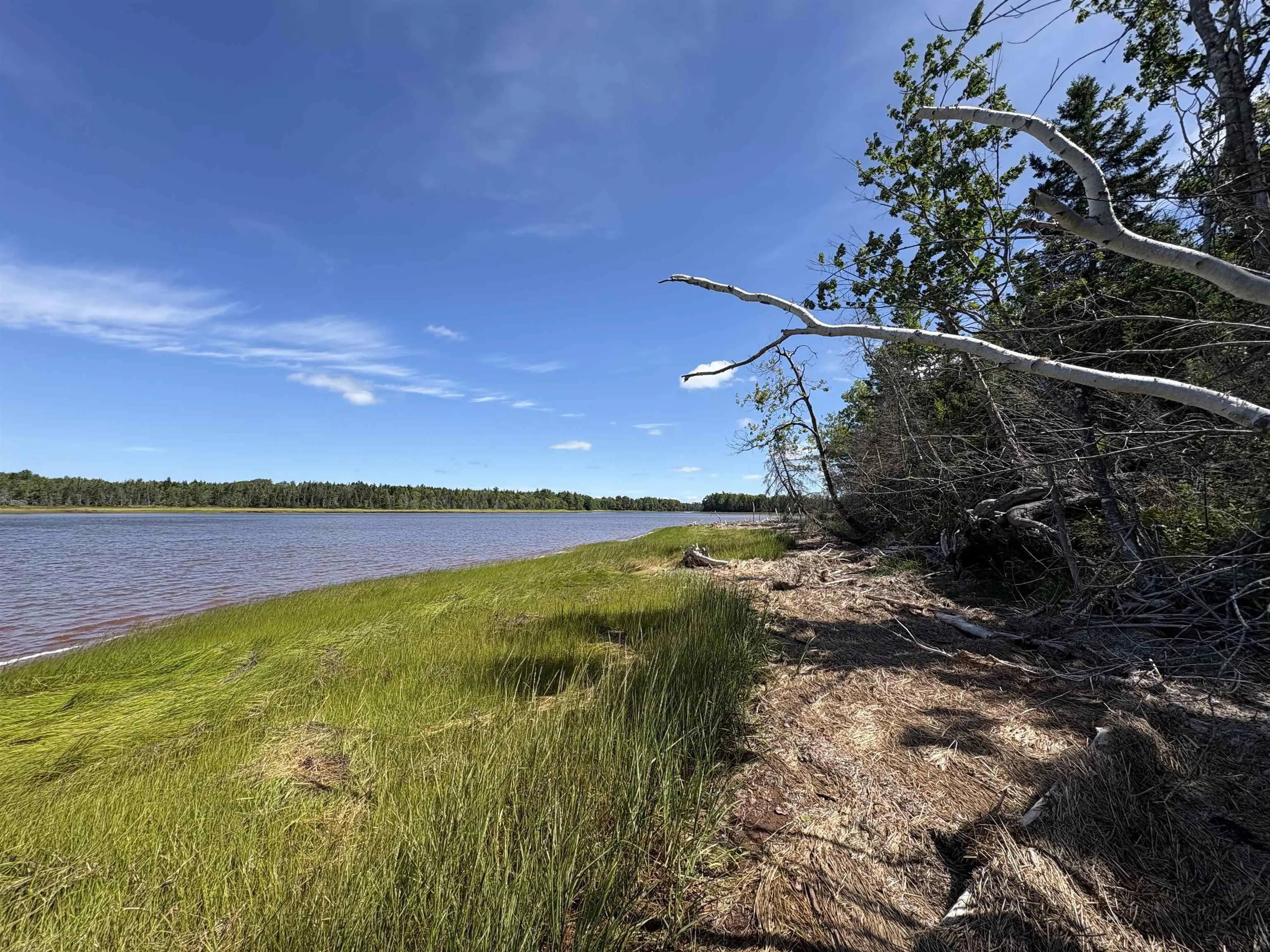 Thompson Road Lot 4, Pugwash River, NS B0M 1P0, ,Land,For Sale,Thompson,202521426