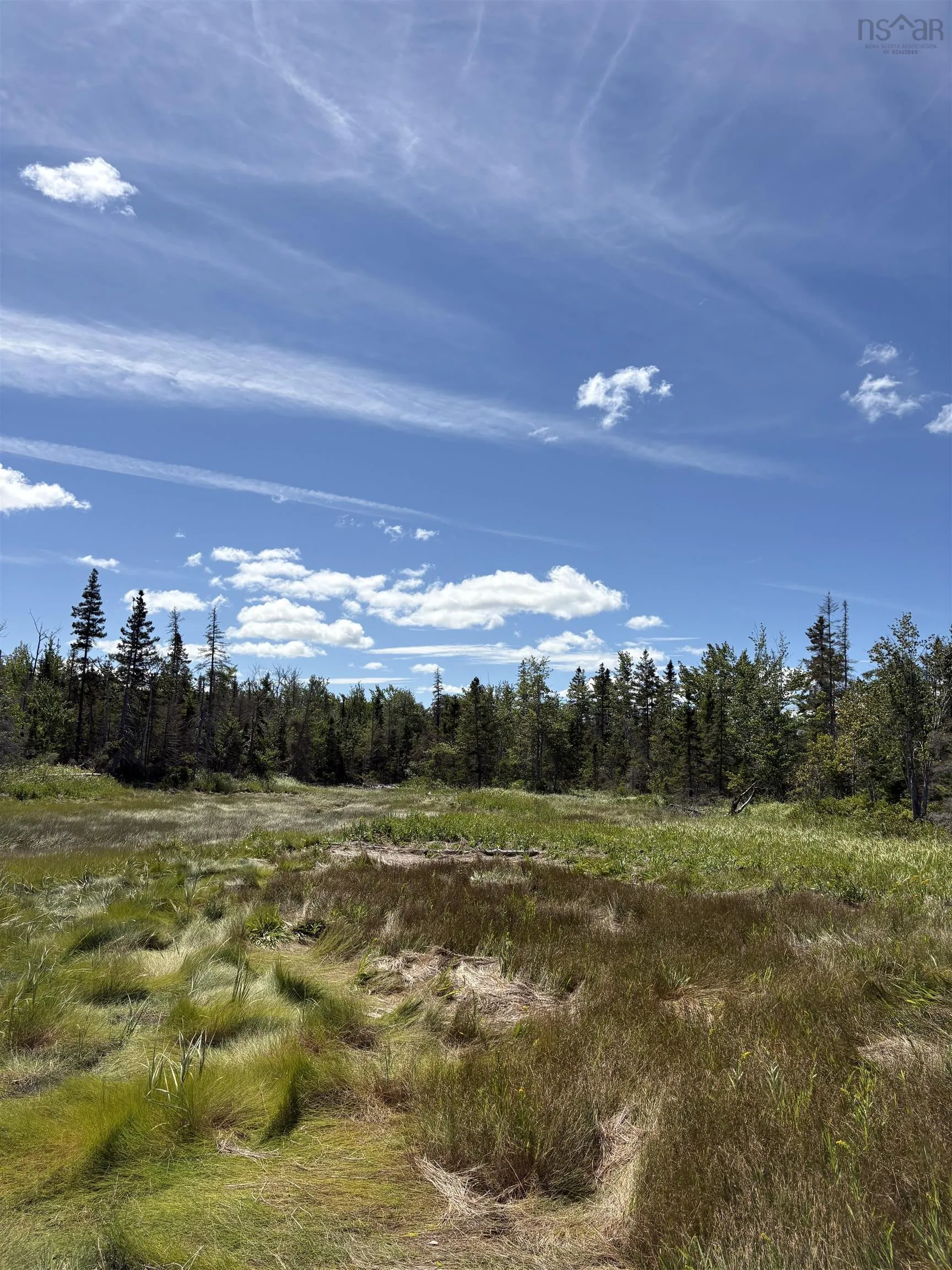 Thompson Road Lot 4, Pugwash River, NS B0M 1P0, ,Land,For Sale,Thompson,202521426
