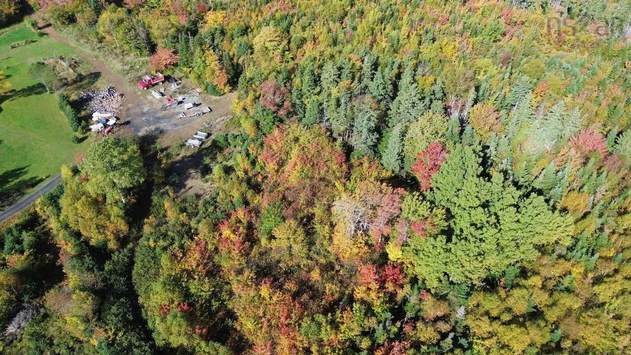 Tower Road Lot 5, Mulgrave Ns B0e 2g0, ,Land,For Sale,Tower,202423688