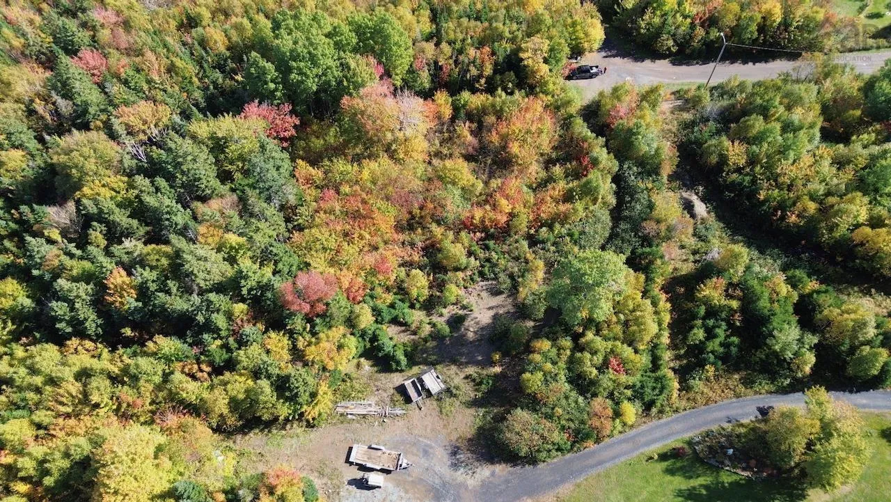Tower Road Lot 5, Mulgrave Ns B0e 2g0, ,Land,For Sale,Tower,202423688