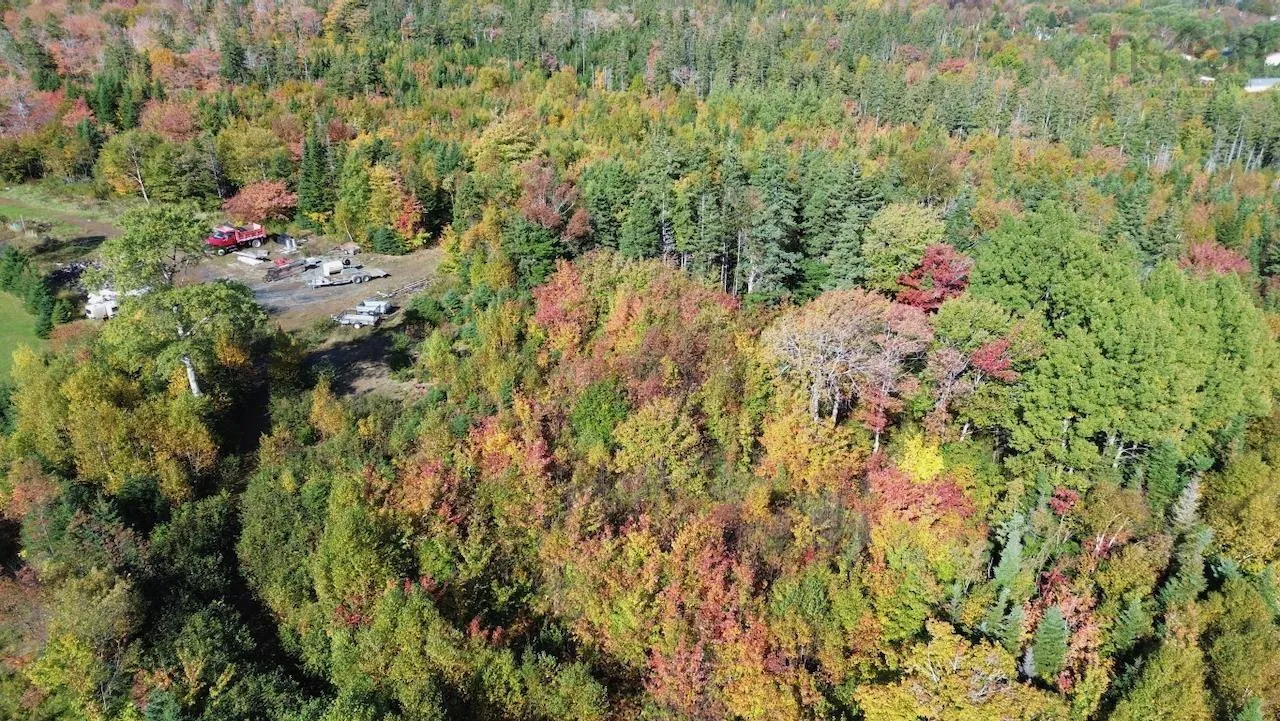 Tower Road Lot 5, Mulgrave Ns B0e 2g0, ,Land,For Sale,Tower,202423688