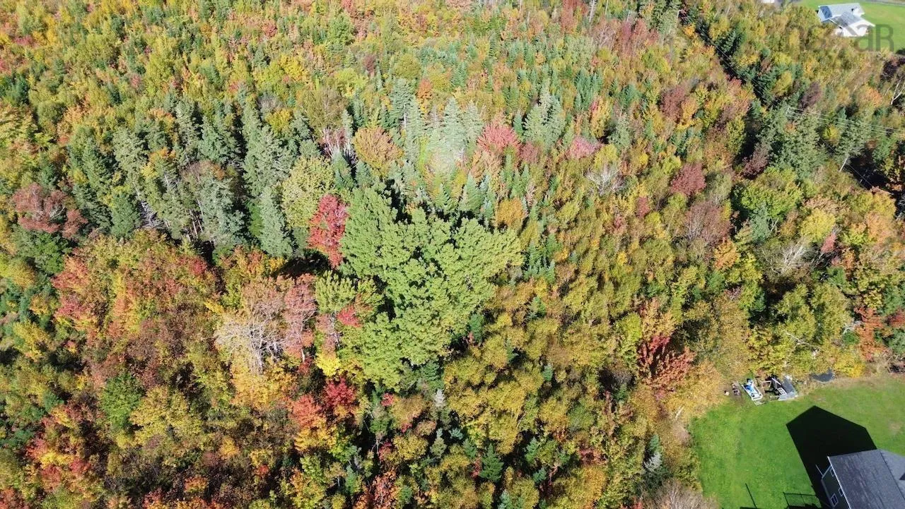 Tower Road Lot 5, Mulgrave Ns B0e 2g0, ,Land,For Sale,Tower,202423688