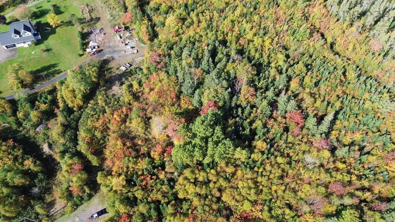 Tower Road Lot 5, Mulgrave Ns B0e 2g0, ,Land,For Sale,Tower,202423688