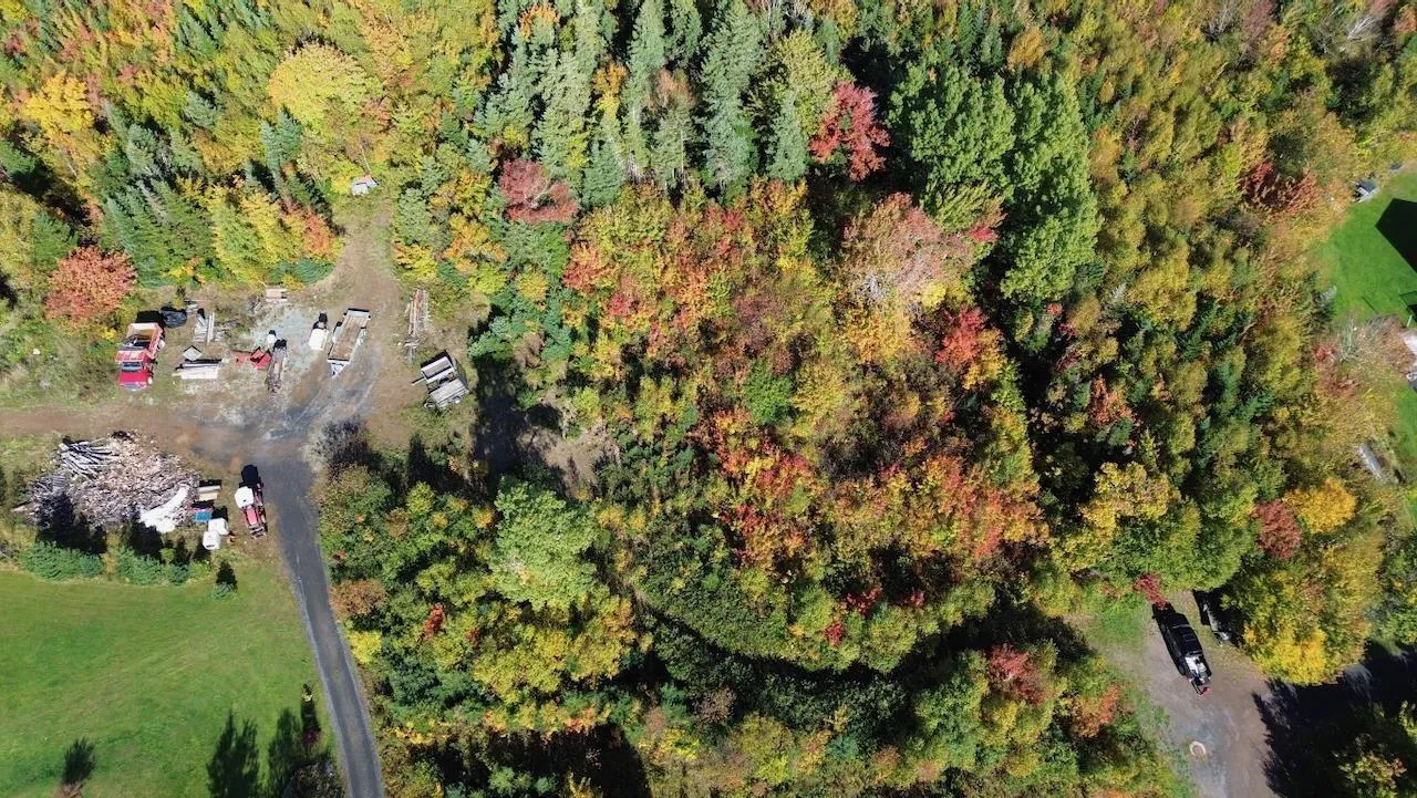 Tower Road Lot 5, Mulgrave Ns B0e 2g0, ,Land,For Sale,Tower,202423688
