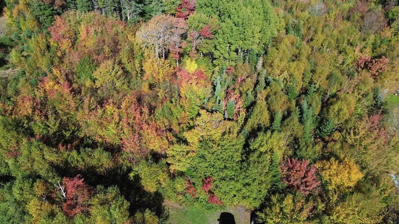 Tower Road Lot 5, Mulgrave Ns B0e 2g0, ,Land,For Sale,Tower,202423688