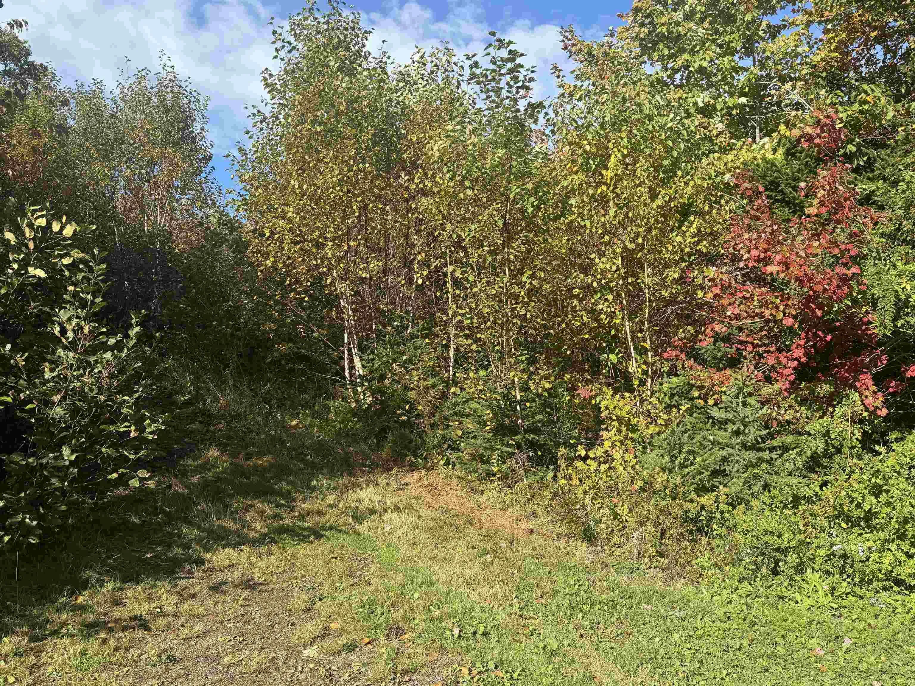 Tower Road Lot 5, Mulgrave Ns B0e 2g0, ,Land,For Sale,Tower,202423688