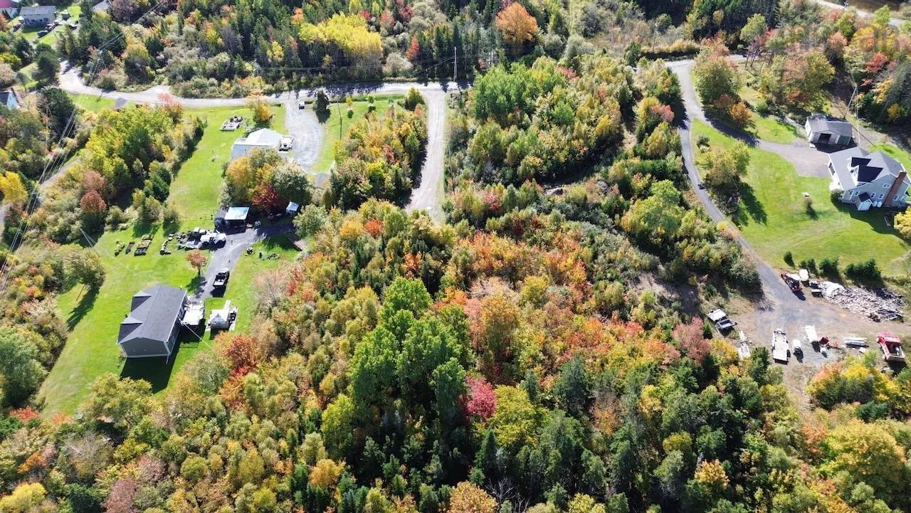 Tower Road Lot 5, Mulgrave Ns B0e 2g0, ,Land,For Sale,Tower,202423688