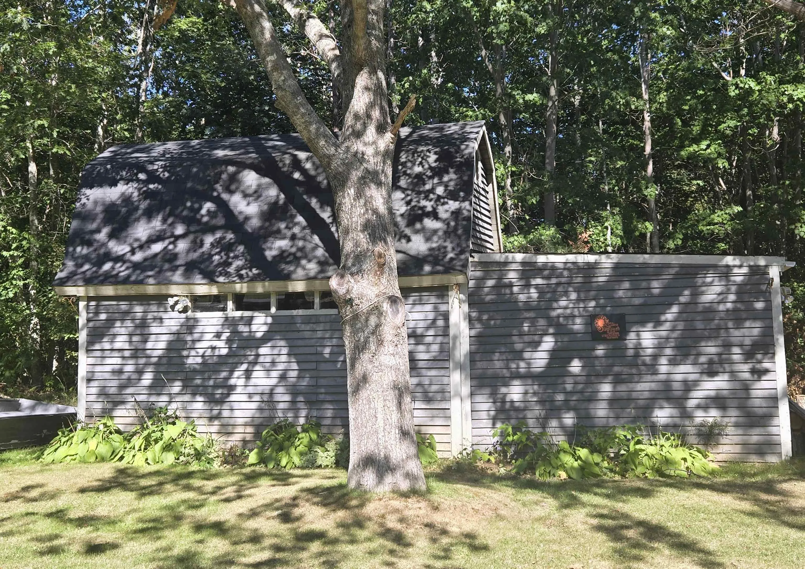 1419 Highway 331, Pleasantville, NS B0R 1G0, 3 Bedrooms Bedrooms, ,1 BathroomBathrooms,Residential,For Sale,Highway 331,202524764