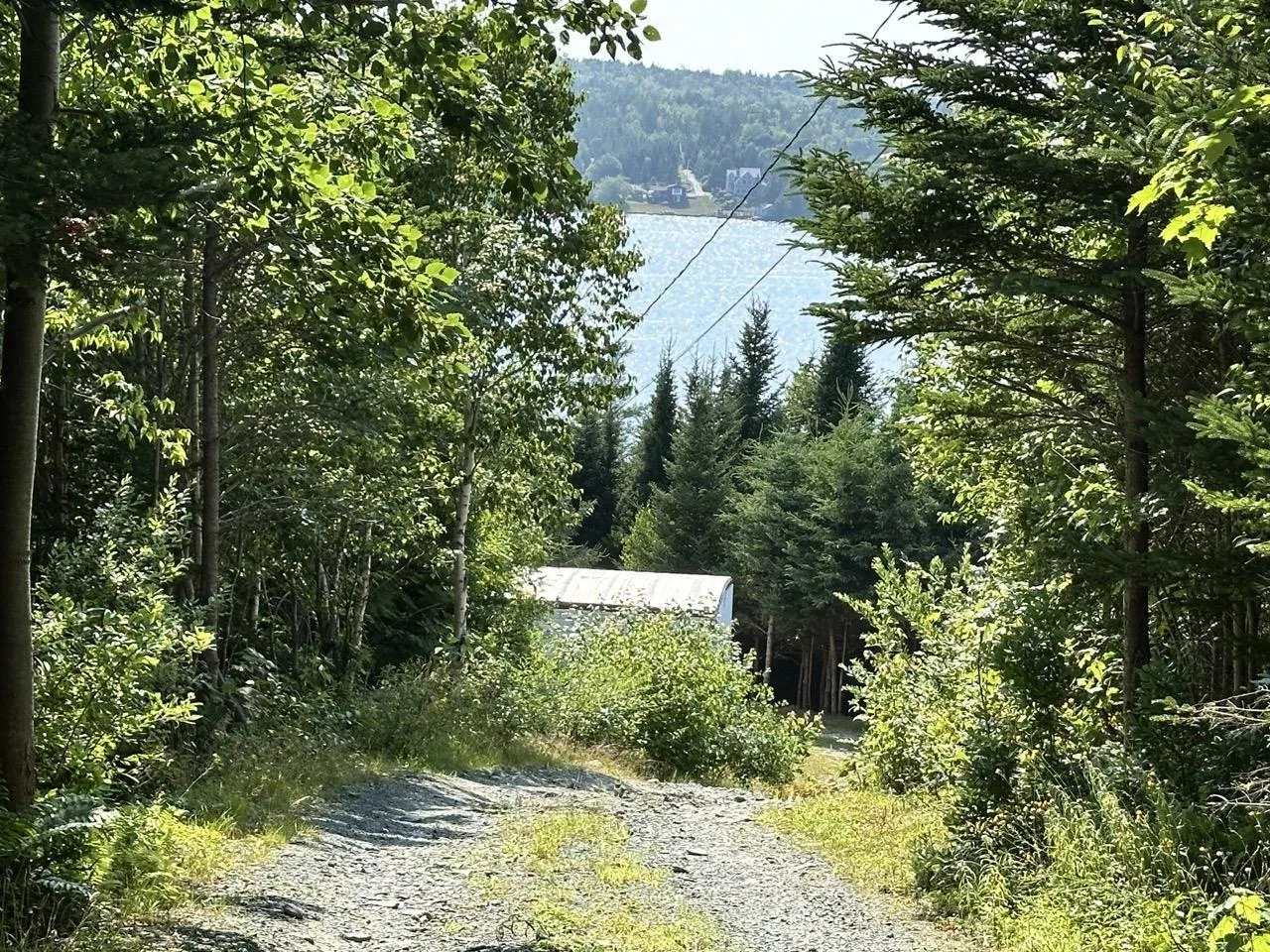 403 Les Collins Avenue, West Chezzetcook, NS B0J 2L0, 3 Bedrooms Bedrooms, ,1 BathroomBathrooms,Residential,For Sale,Les Collins,202519290