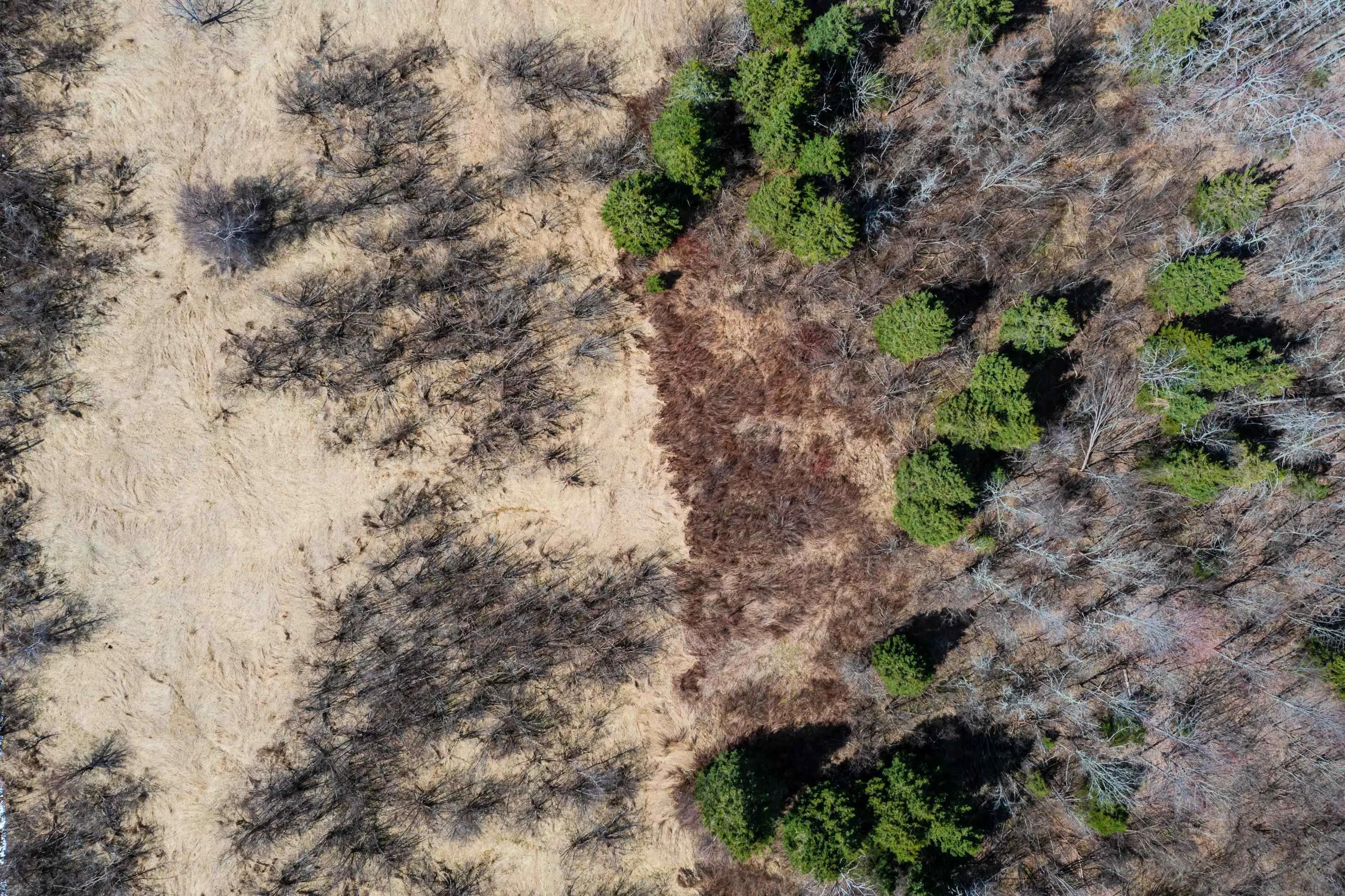 24.2 Lots Hansford Road, Victoria Ns B0m 1p0, ,Land,For Sale,Lots Hansford,202407692
