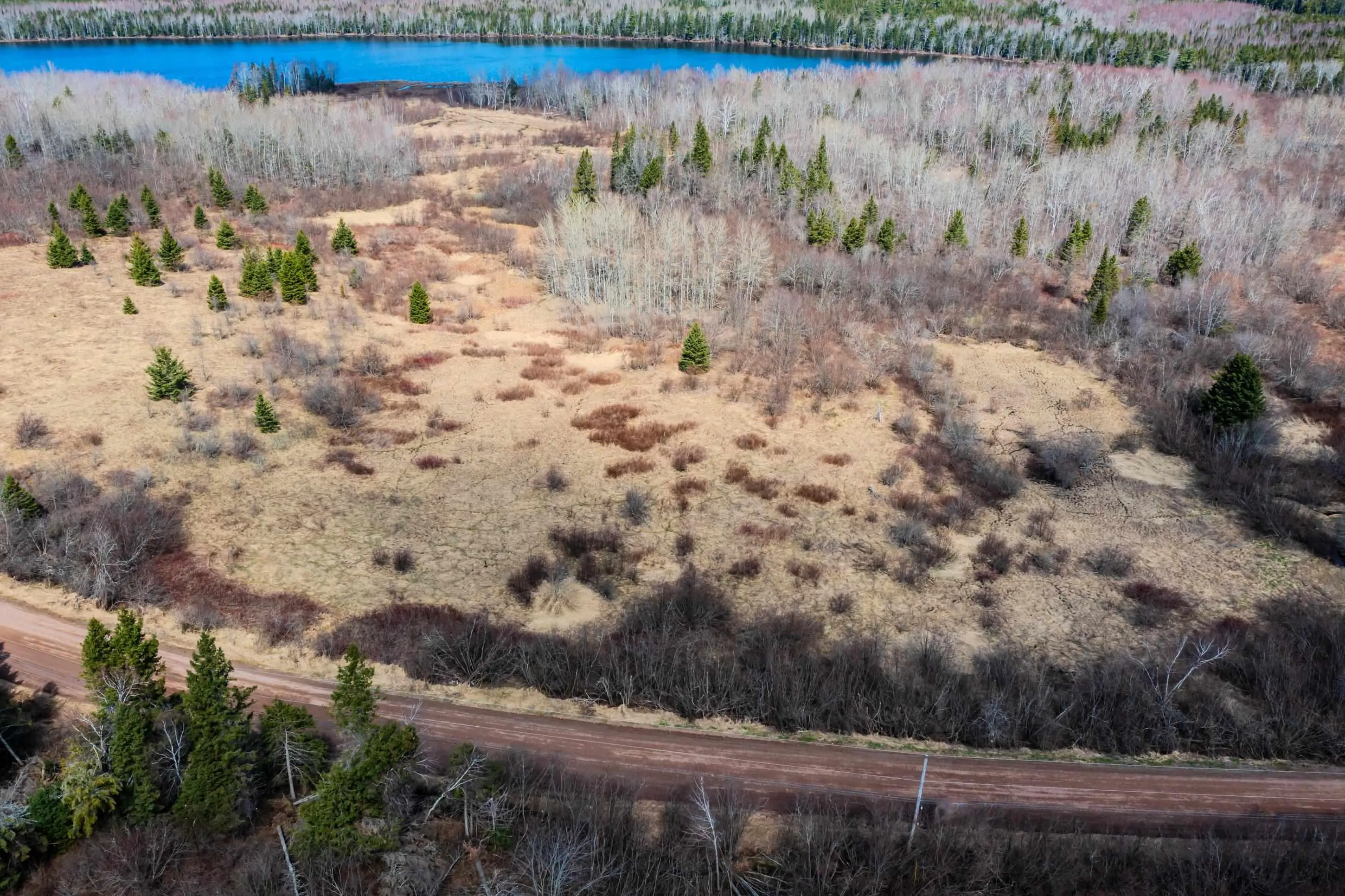 24.2 Lots Hansford Road, Victoria Ns B0m 1p0, ,Land,For Sale,Lots Hansford,202407692