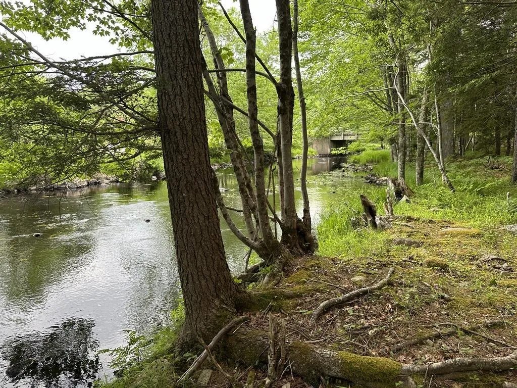 Wentzell Road Lot 1, Baker Settlement, NS B4V 7J4, ,Land,For Sale,Wentzell,202513367