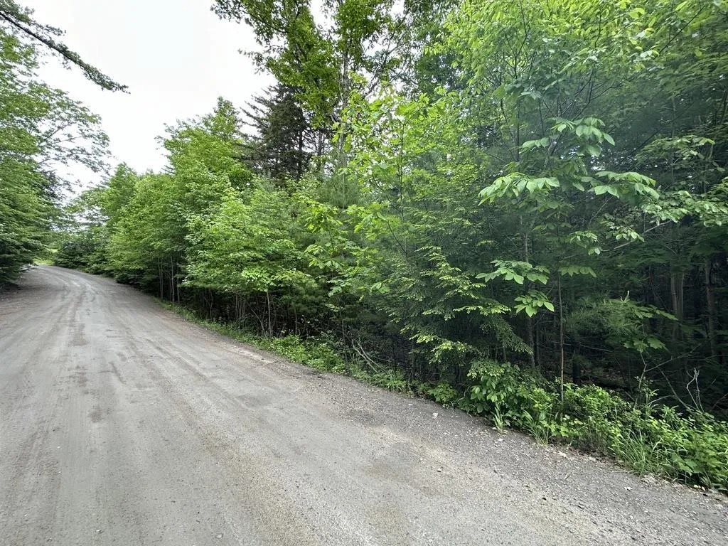 Wentzell Road Lot 1, Baker Settlement, NS B4V 7J4, ,Land,For Sale,Wentzell,202513367