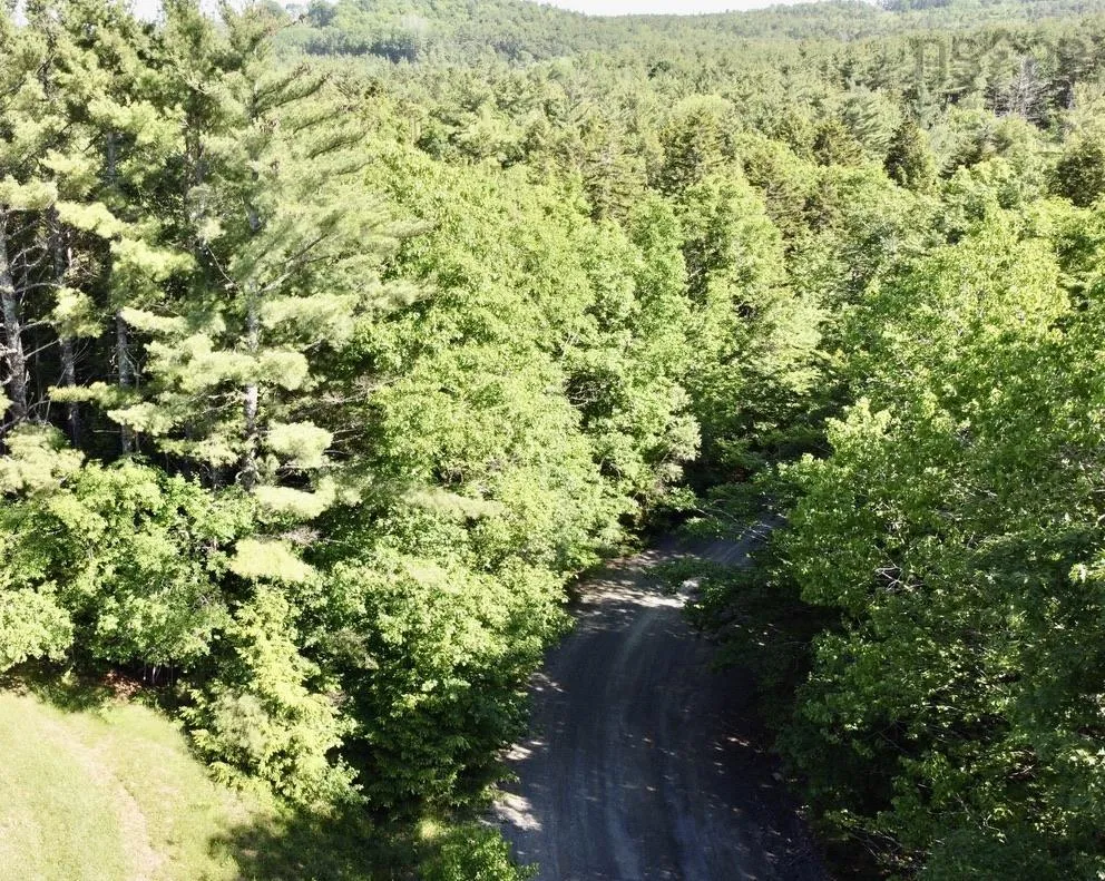 Wentzell Road Lot 1, Baker Settlement, NS B4V 7J4, ,Land,For Sale,Wentzell,202513367