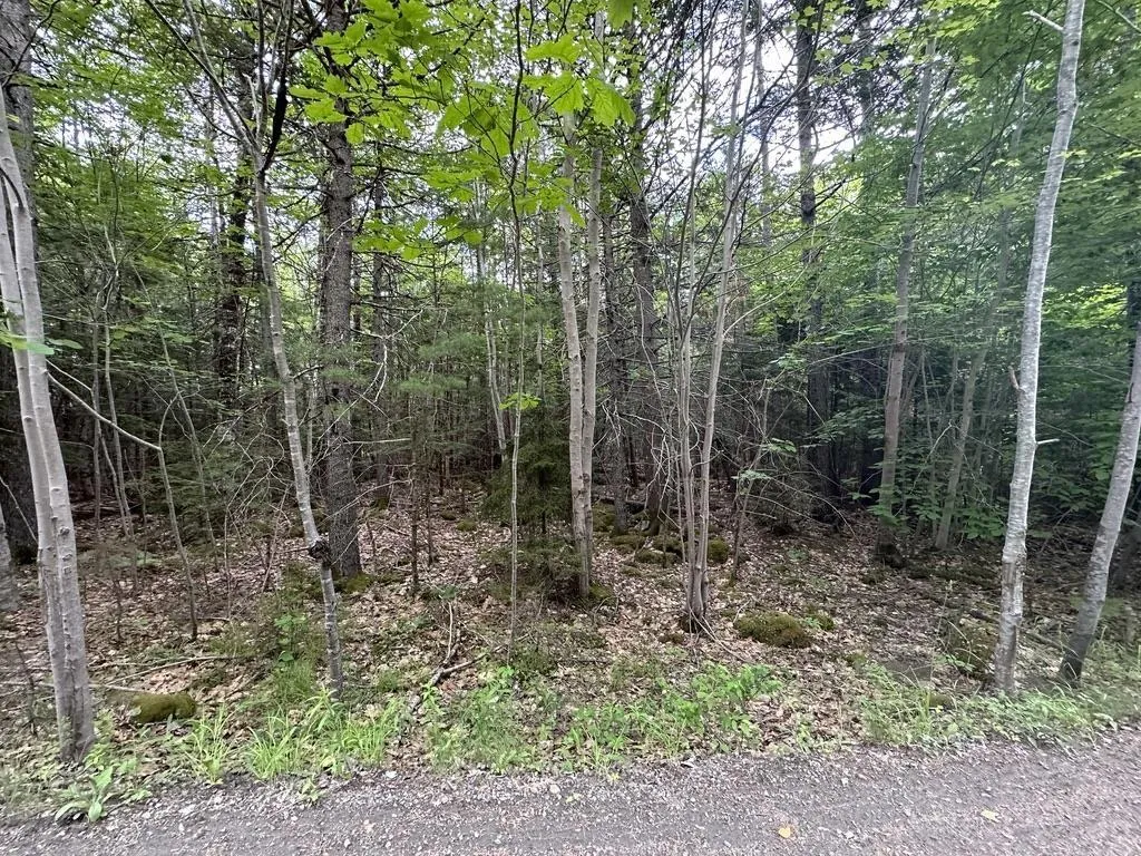 Wentzell Road Lot 1, Baker Settlement, NS B4V 7J4, ,Land,For Sale,Wentzell,202513367