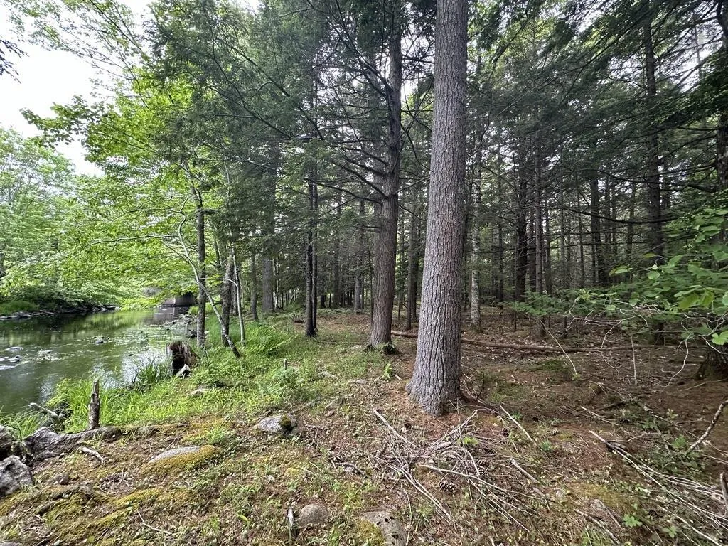 Wentzell Road Lot 1, Baker Settlement, NS B4V 7J4, ,Land,For Sale,Wentzell,202513367