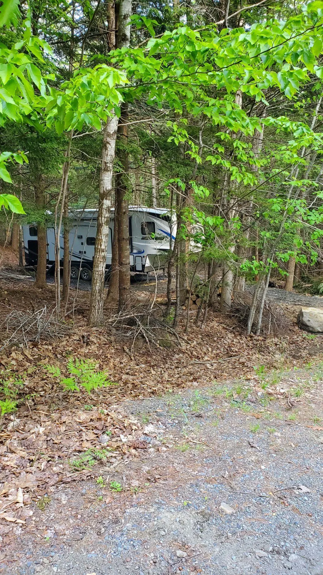 Wentzell Road Lot 1, Baker Settlement, NS B4V 7J4, ,Land,For Sale,Wentzell,202513367