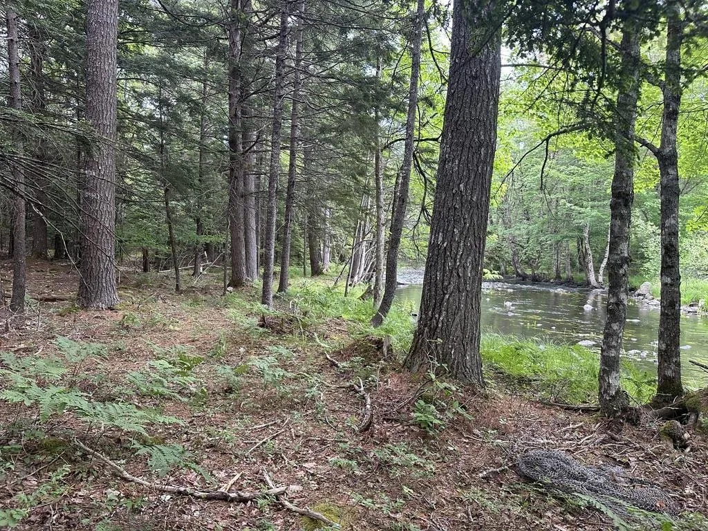 Wentzell Road Lot 1, Baker Settlement, NS B4V 7J4, ,Land,For Sale,Wentzell,202513367