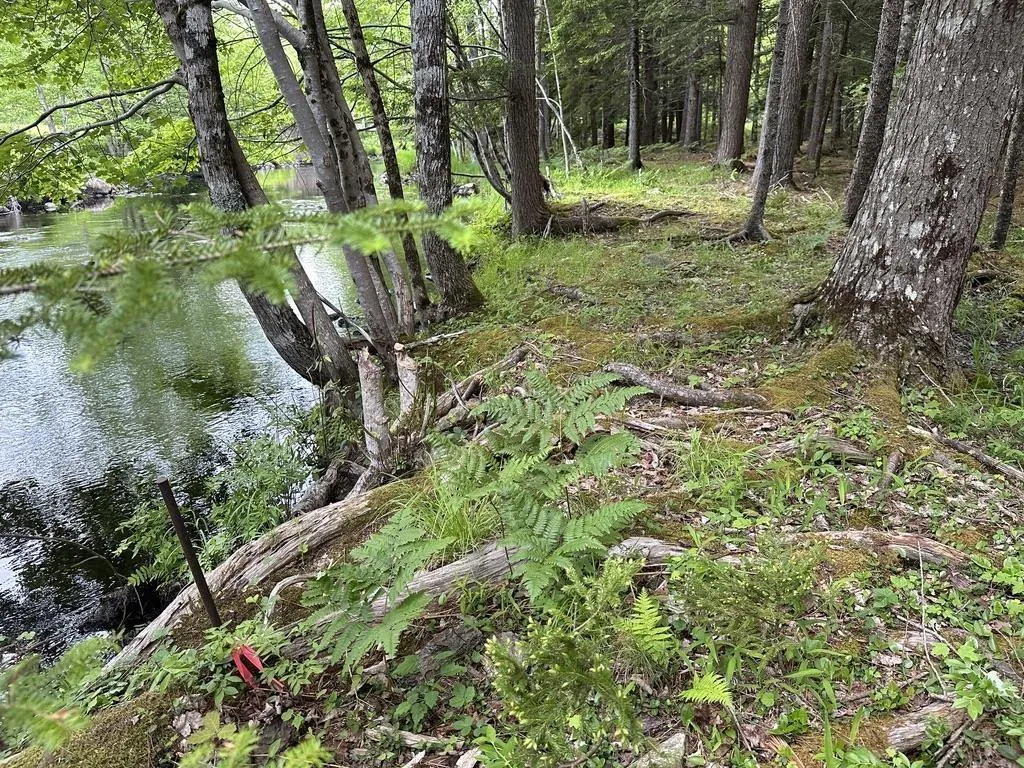 Wentzell Road Lot 1, Baker Settlement, NS B4V 7J4, ,Land,For Sale,Wentzell,202513367