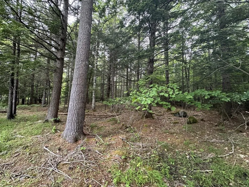 Wentzell Road Lot 1, Baker Settlement, NS B4V 7J4, ,Land,For Sale,Wentzell,202513367