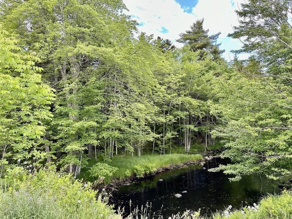 Wentzell Road Lot 1, Baker Settlement, NS B4V 7J4, ,Land,For Sale,Wentzell,202513367