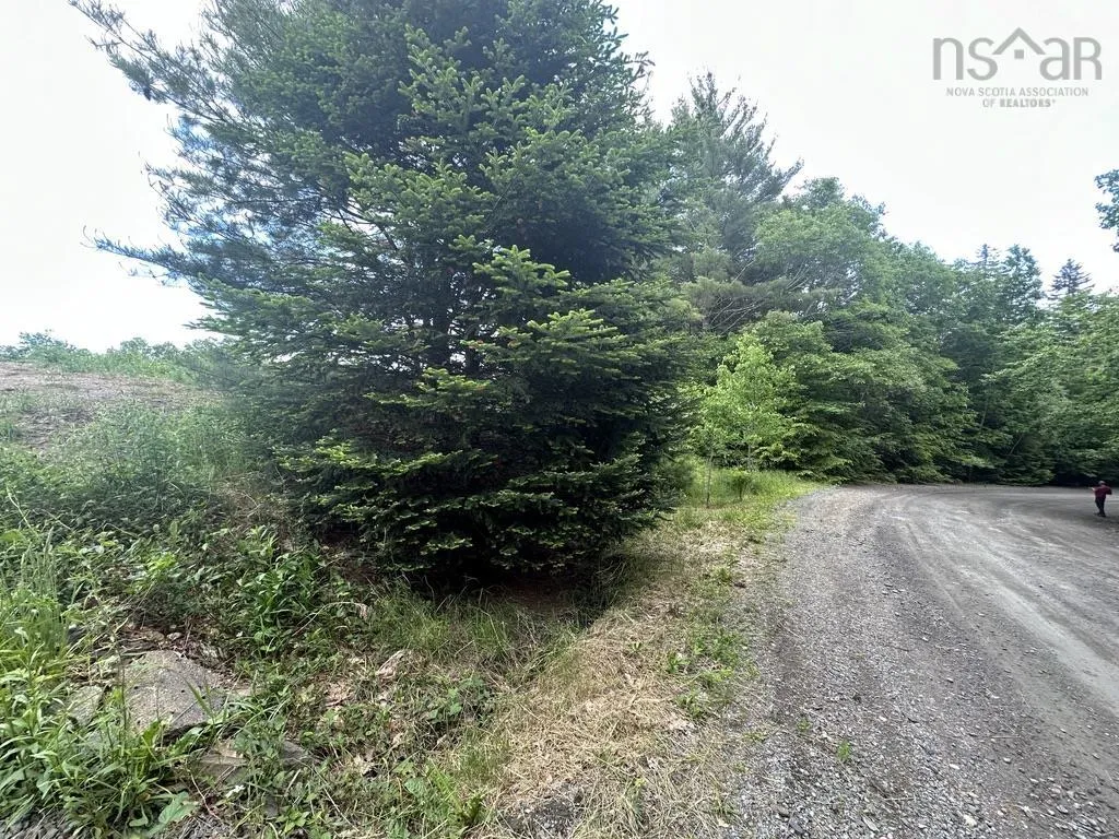 Wentzell Road Lot 1, Baker Settlement, NS B4V 7J4, ,Land,For Sale,Wentzell,202513367