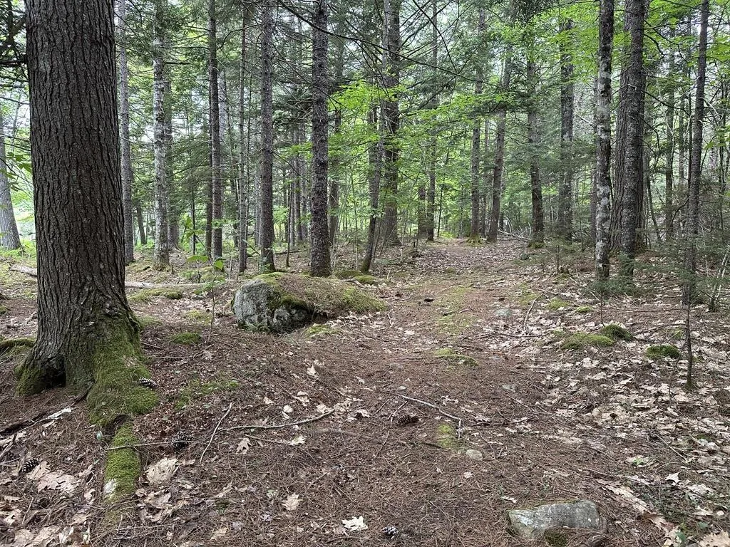 Wentzell Road Lot 1, Baker Settlement, NS B4V 7J4, ,Land,For Sale,Wentzell,202513367