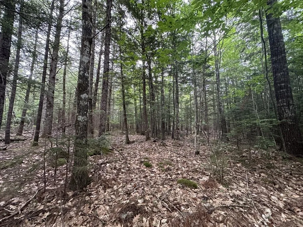 Wentzell Road Lot 1, Baker Settlement, NS B4V 7J4, ,Land,For Sale,Wentzell,202513367