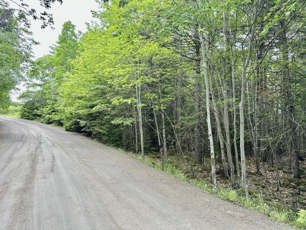 Wentzell Road Lot 1, Baker Settlement, NS B4V 7J4, ,Land,For Sale,Wentzell,202513367