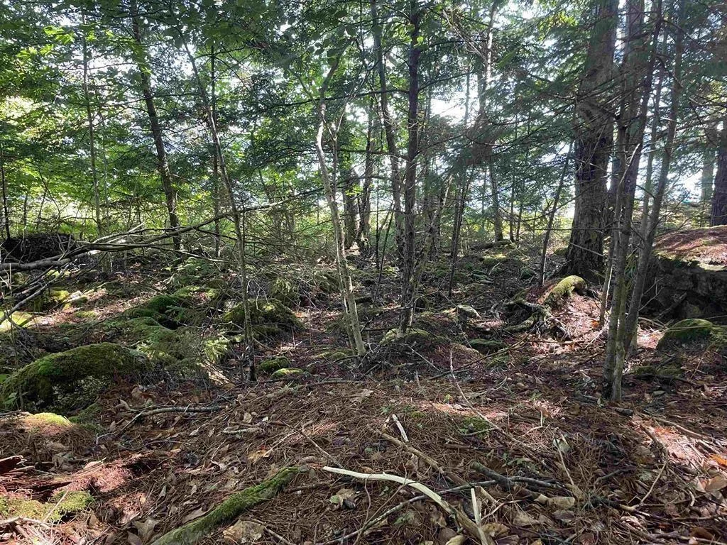 Lot 13a Natural Retreats Street, Henleys Point Ns B4v 8t8, ,Land,For Sale,Natural Retreats,202506711