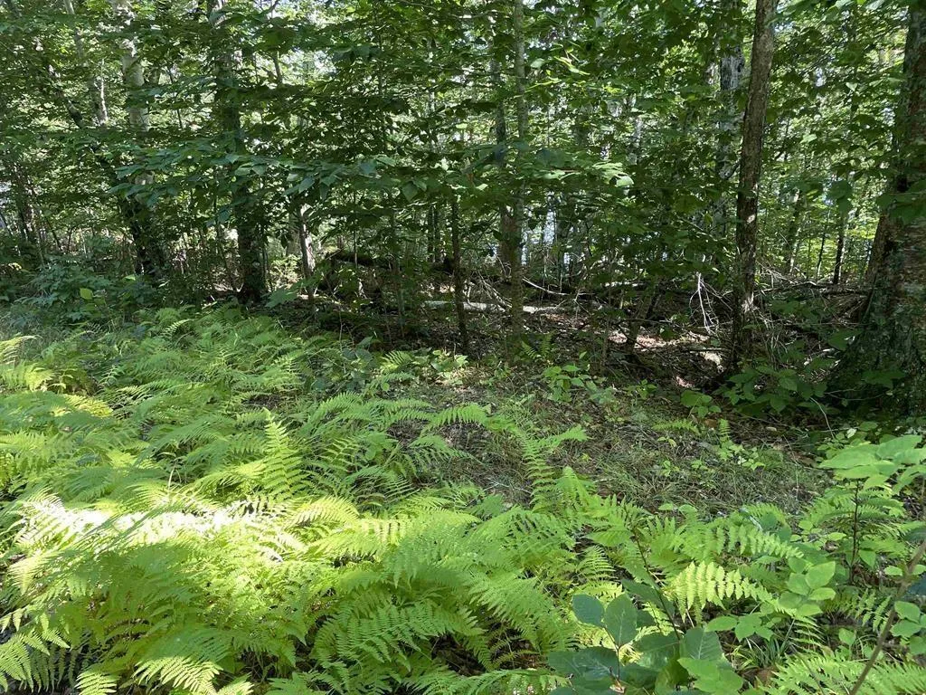 Lot 13a Natural Retreats Street, Henleys Point Ns B4v 8t8, ,Land,For Sale,Natural Retreats,202506711